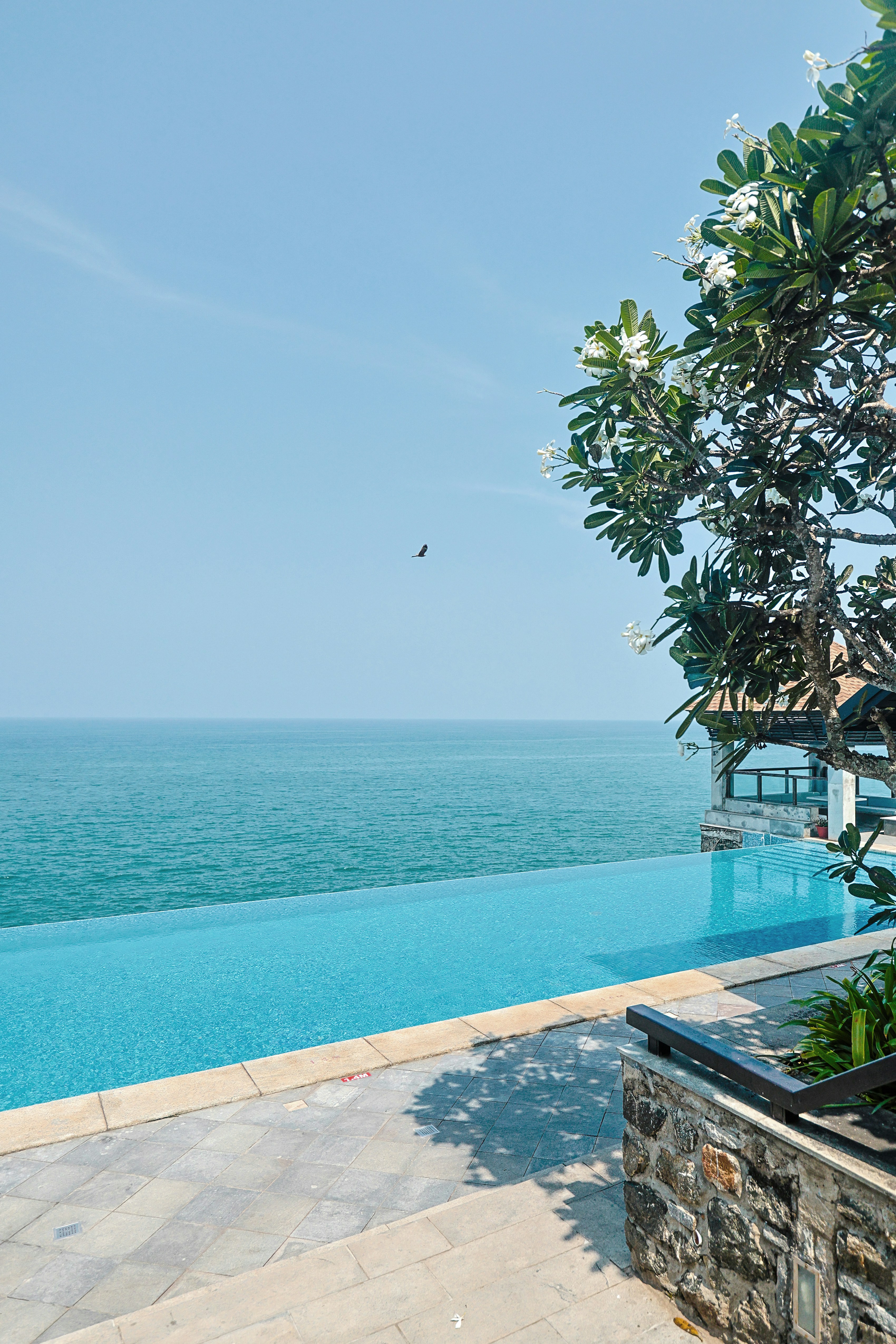 A large swimming pool with a view of the ocean