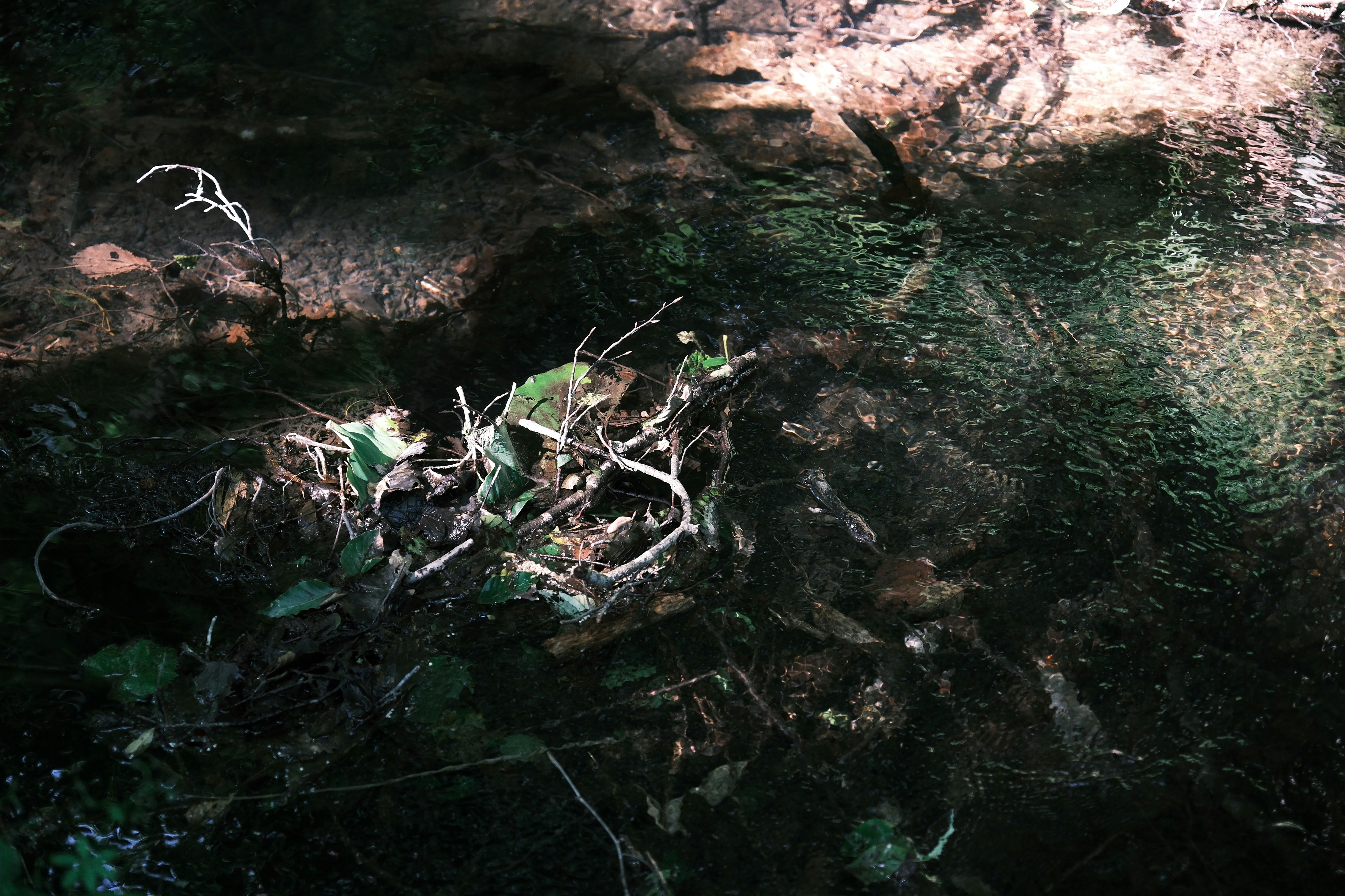 Photo by seiya_maeda