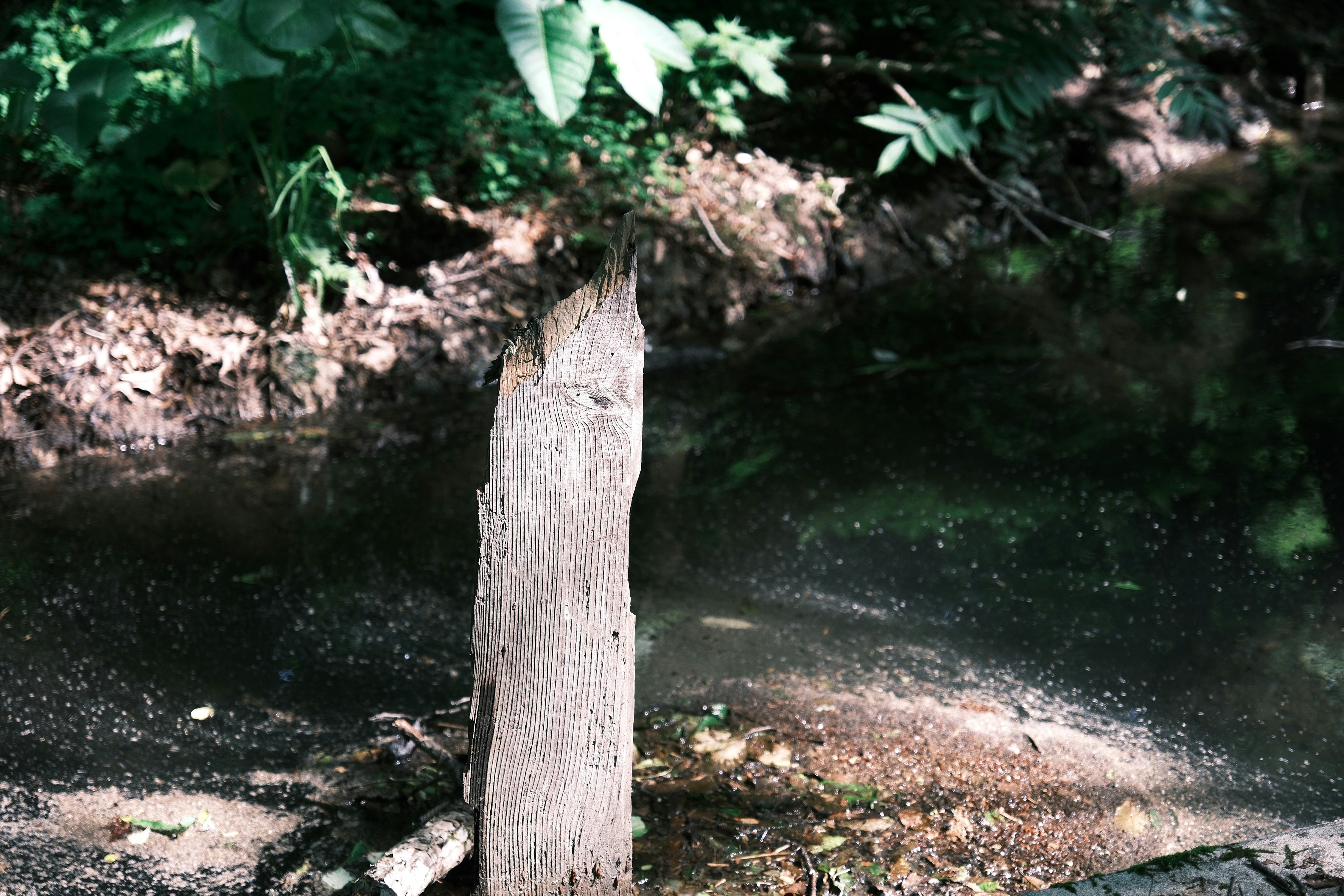 Photo by seiya_maeda