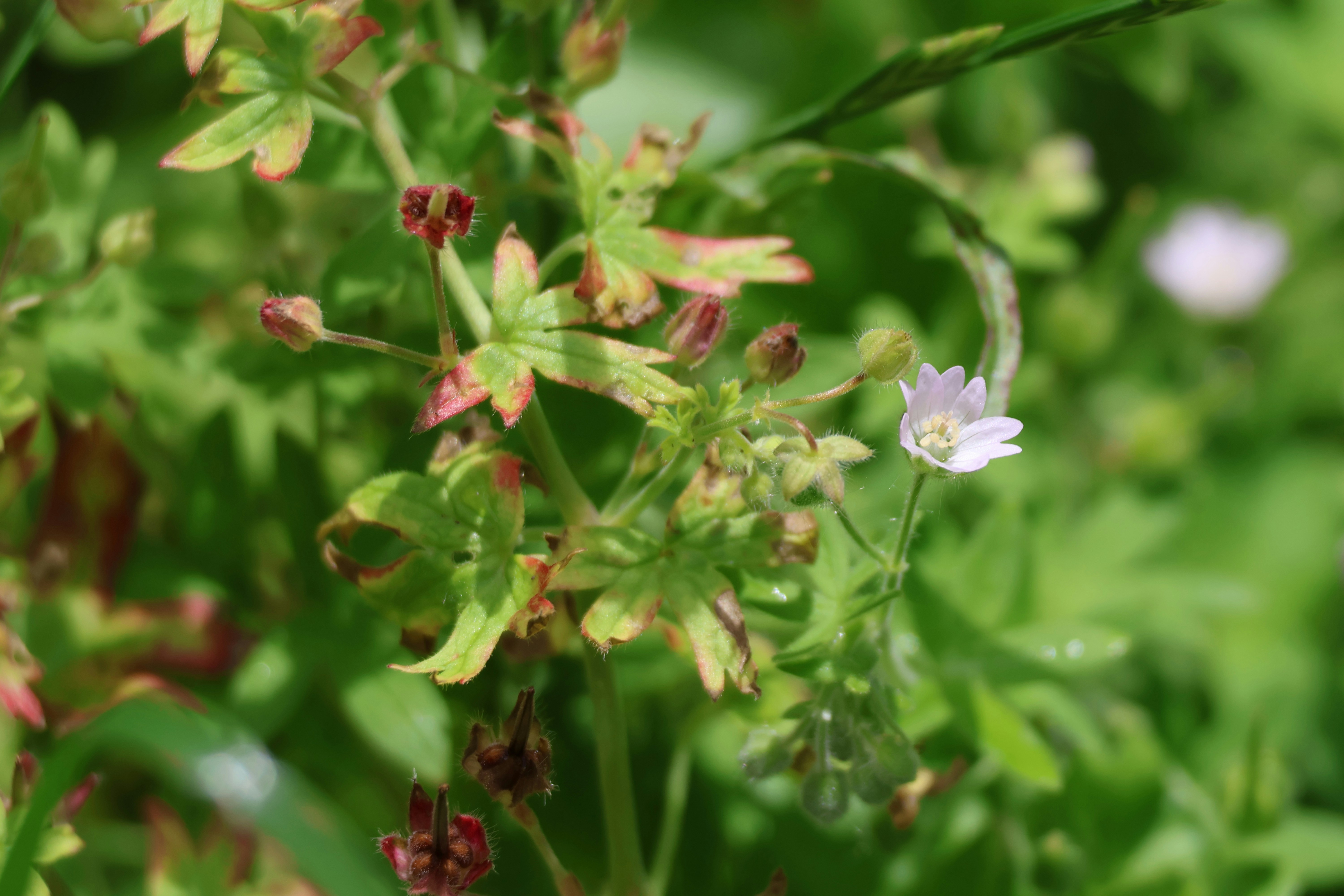 Photo by shooter__andy