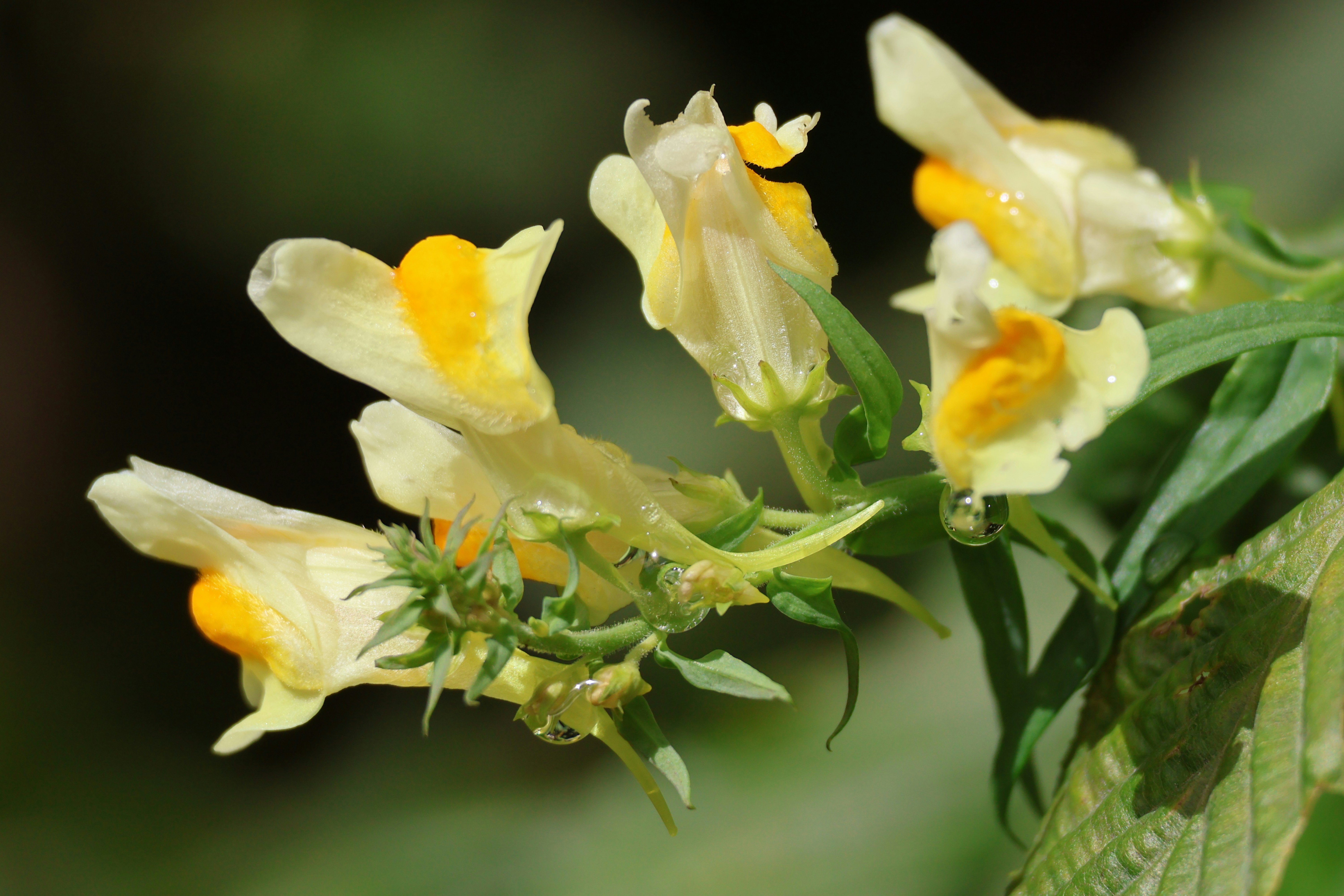 Photo by shooter__andy