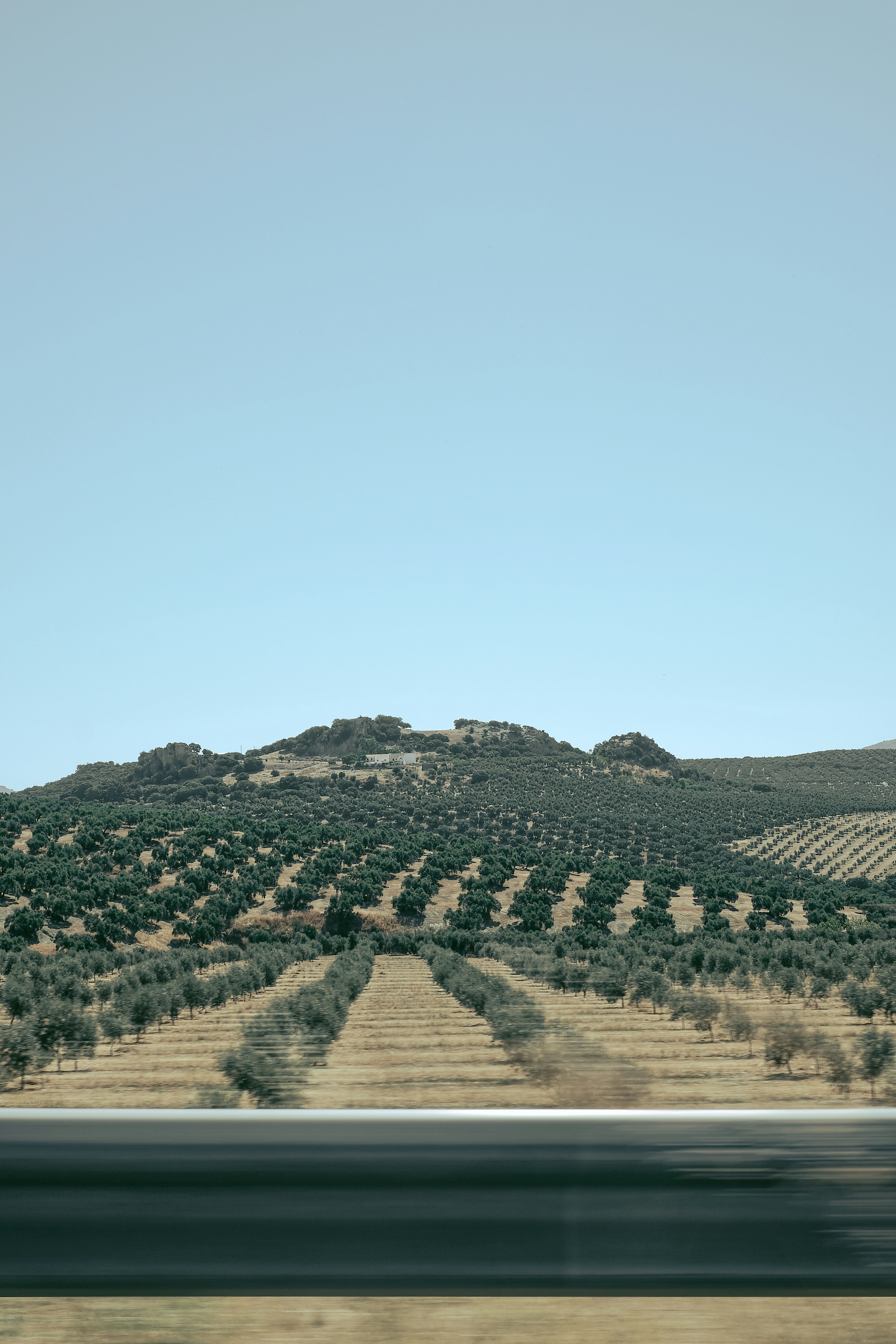 Photo by benbenjamin