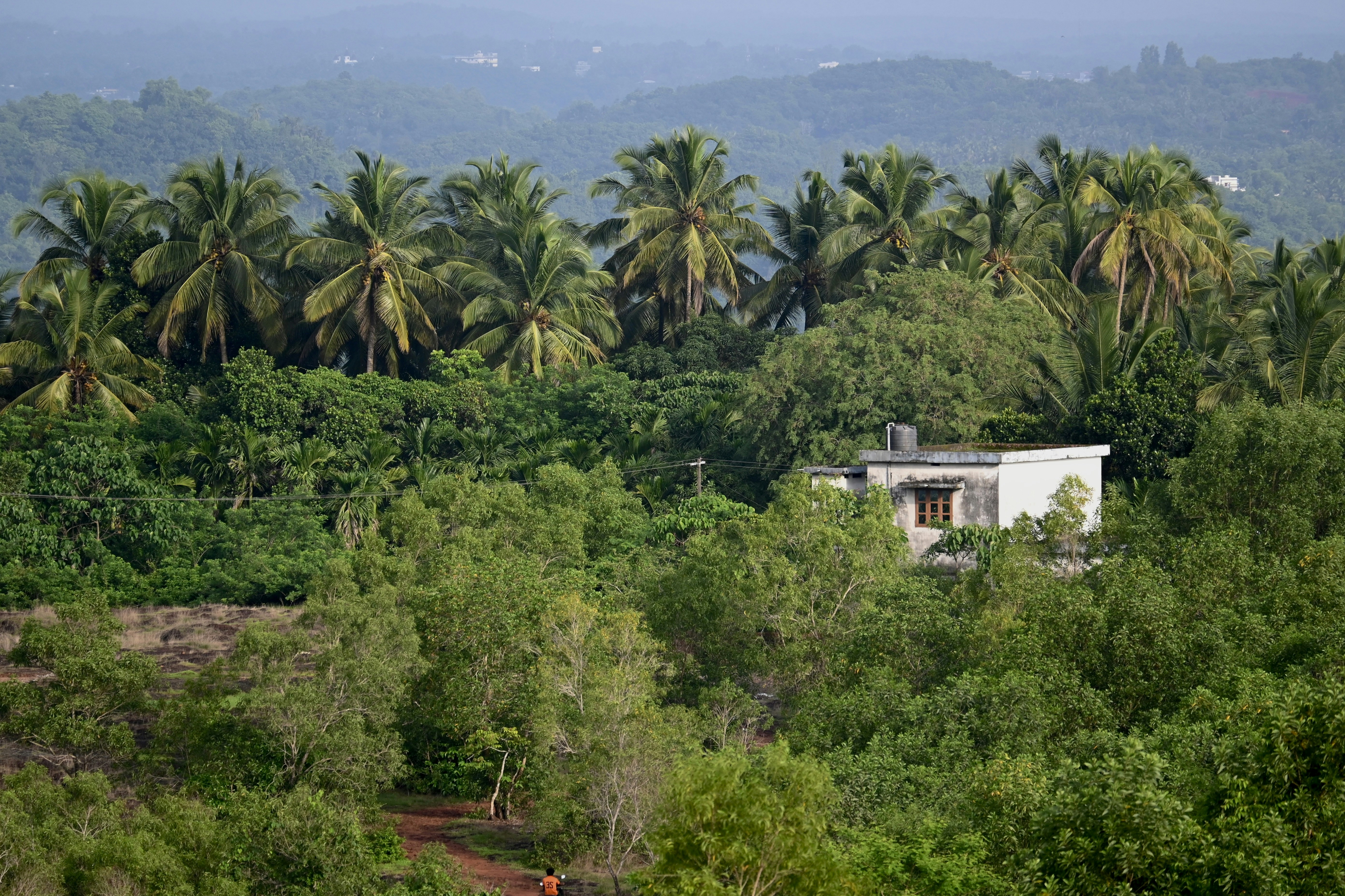 ジャングルの真ん中にある家
