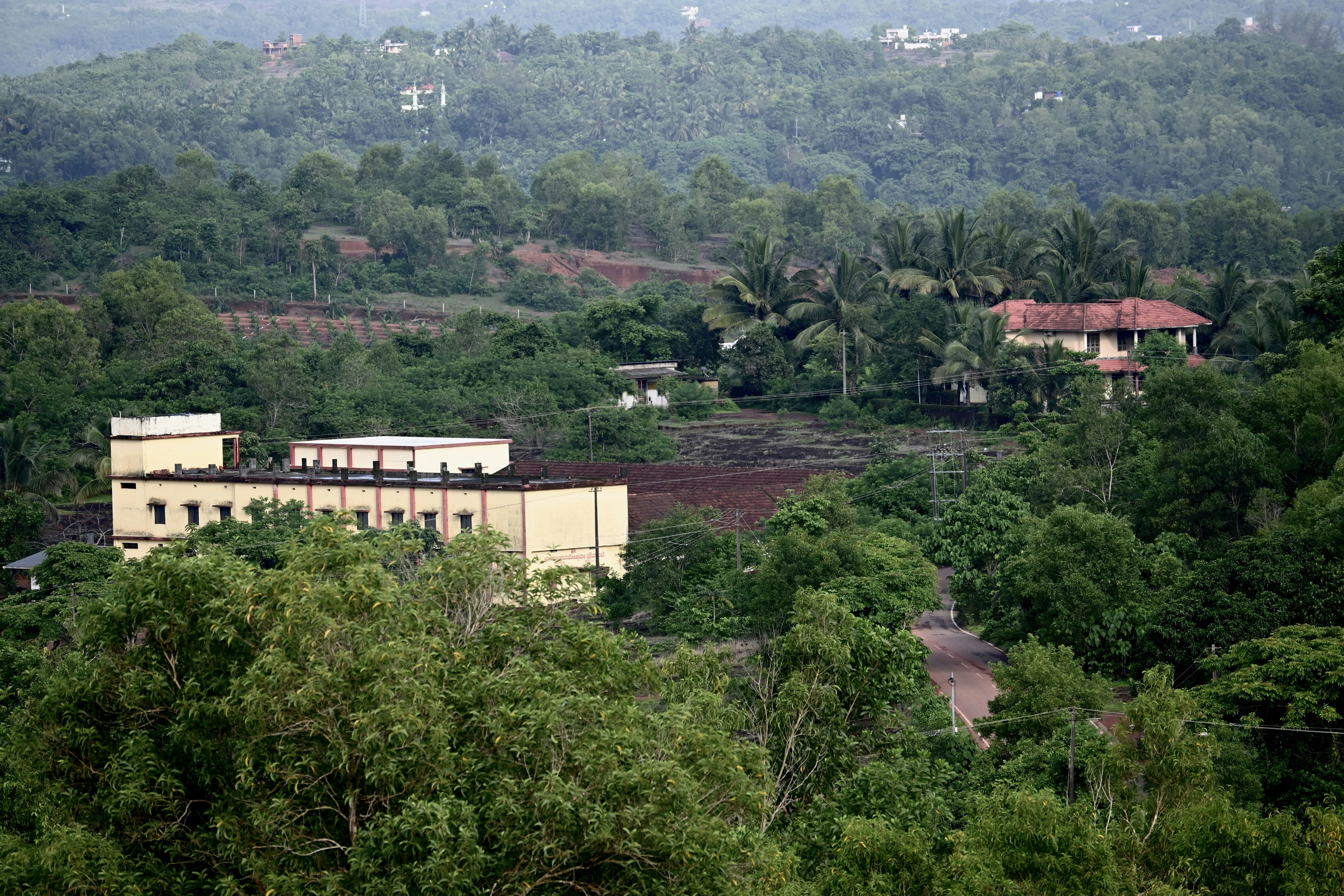 A train traveling through a lush green forest