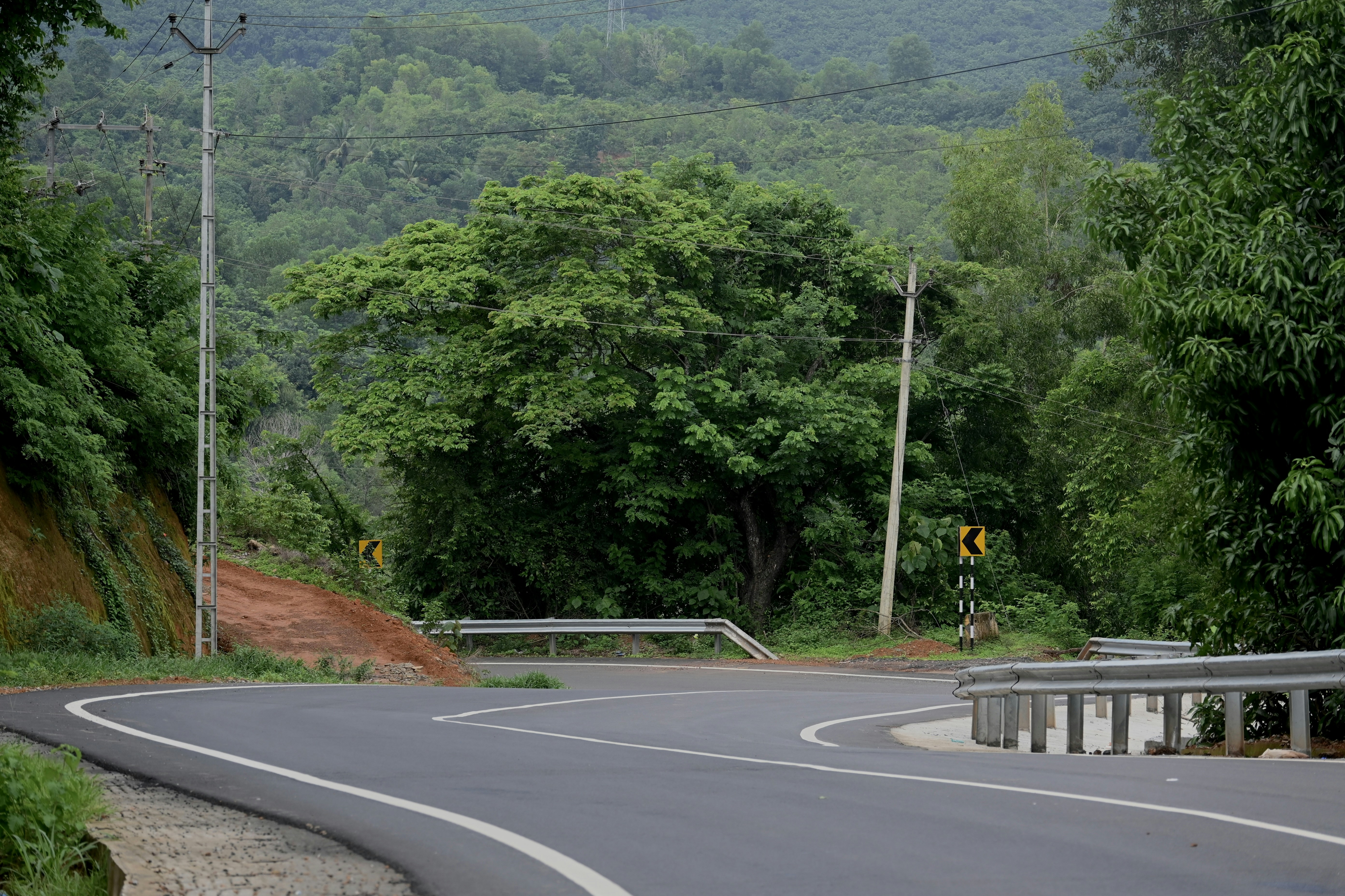 Photo by praswinprakashan