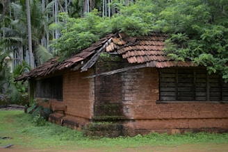A small brick building with a tree growing on top of it