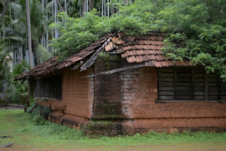A small brick building with a tree growing on top of it
