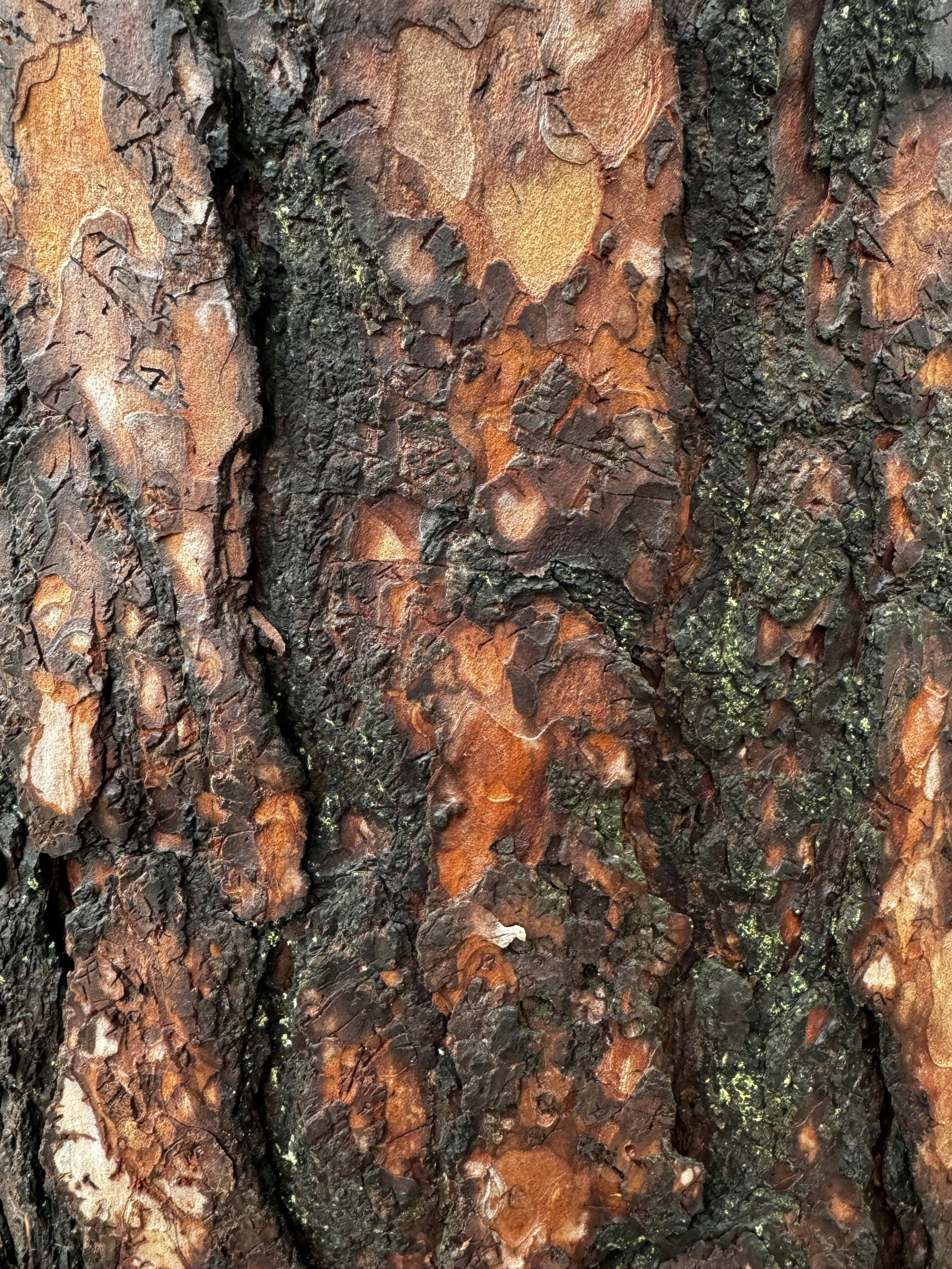 Photo by natalieagatha