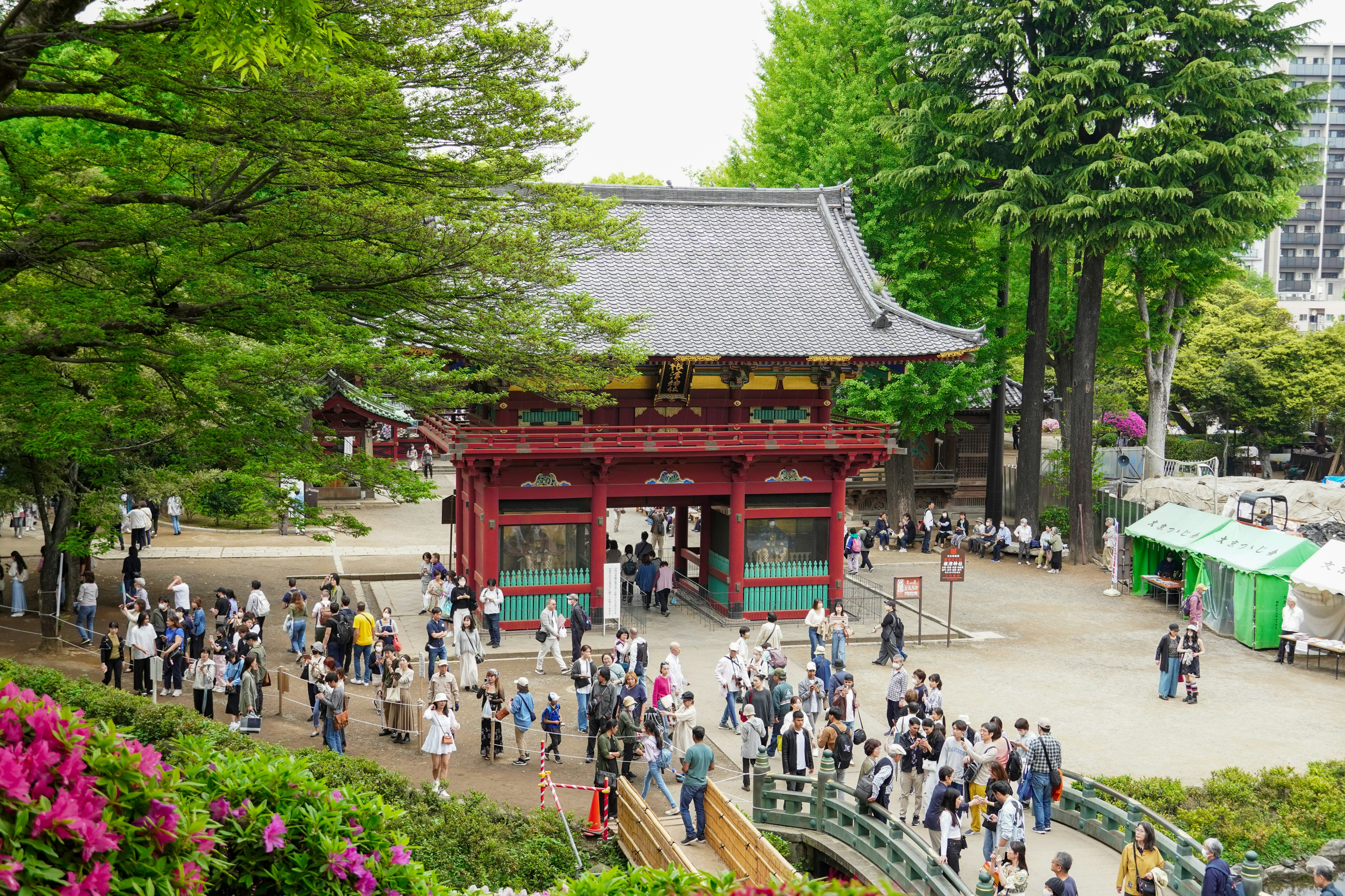 Photo by dsnphotography