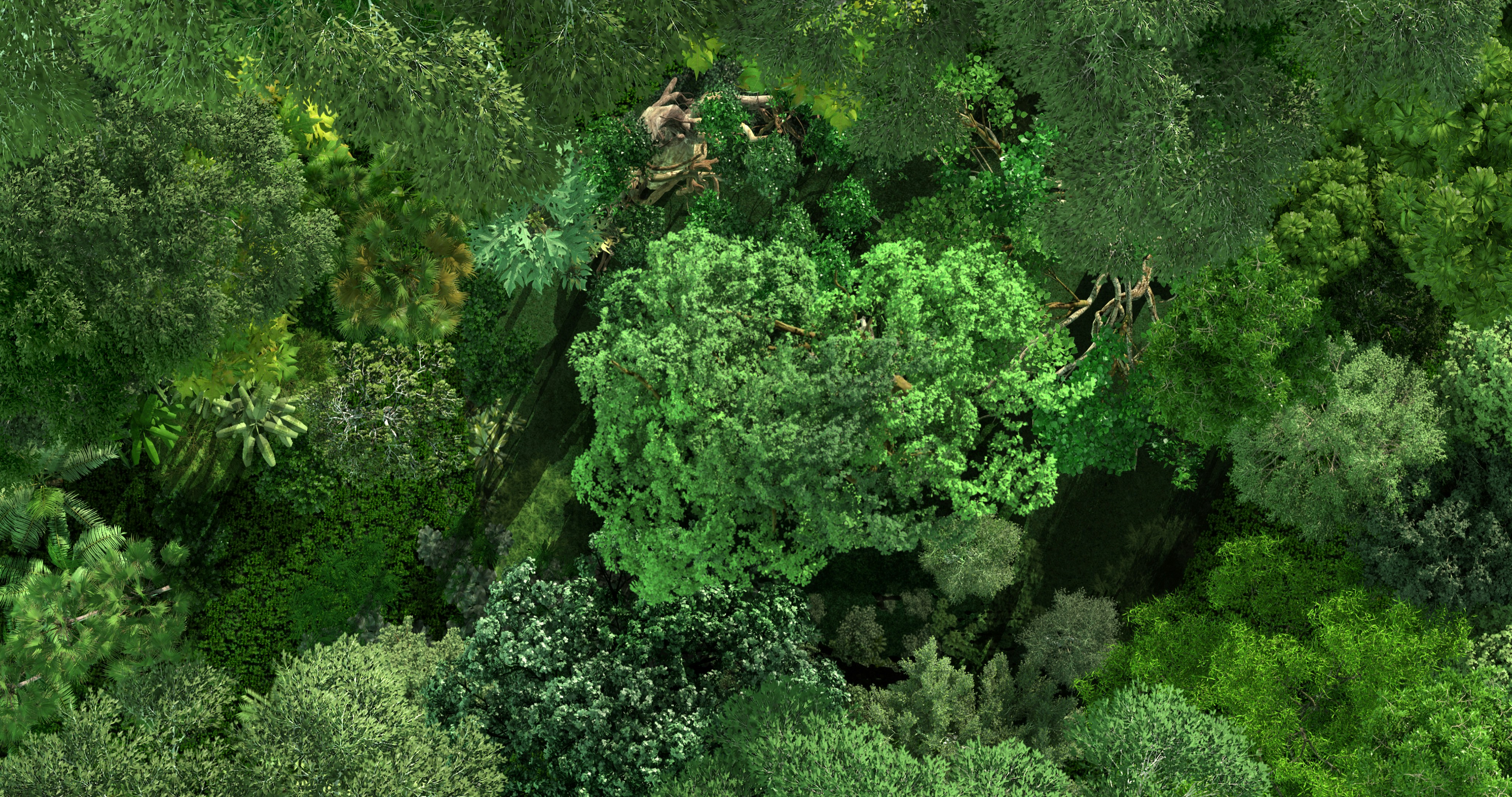 Photo by buddhaelemental3d