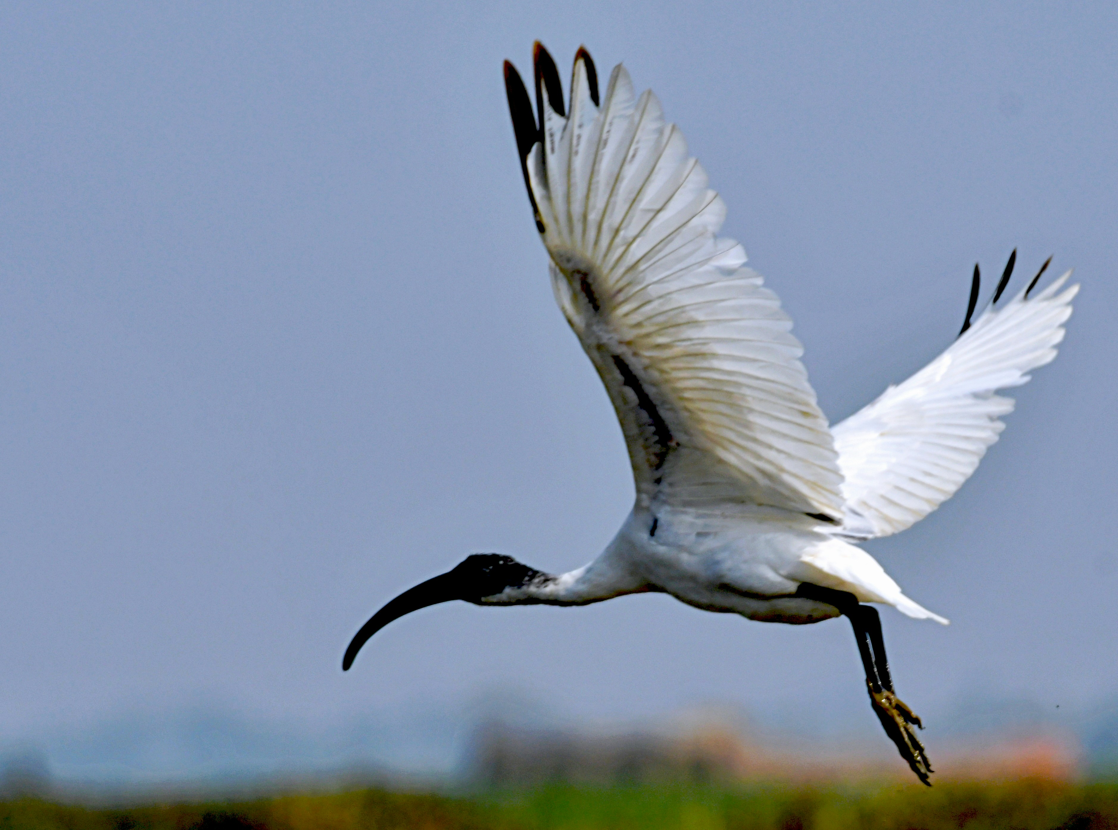 Photo by mhphotography13