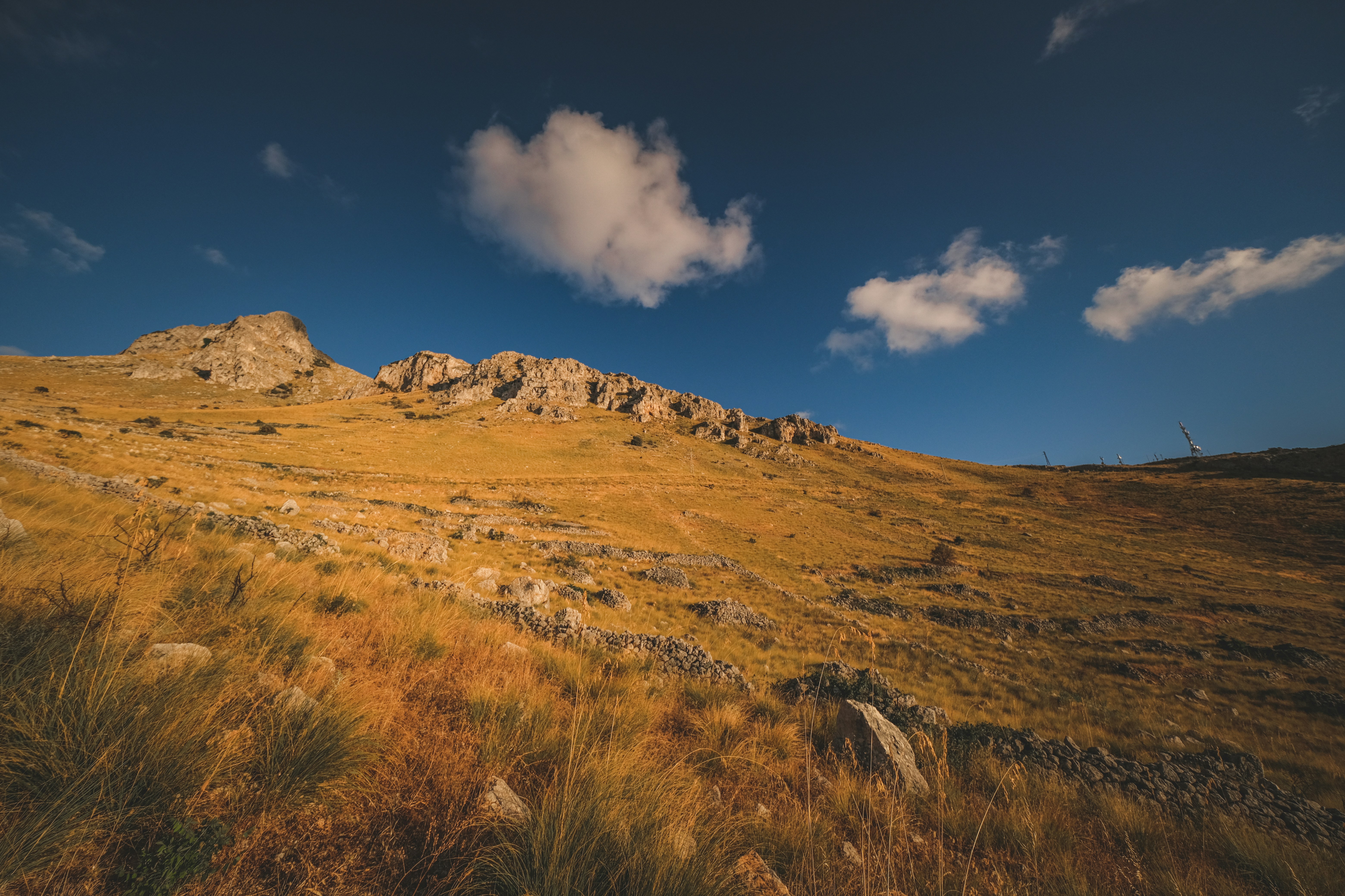 Photo by francesco_ungaro