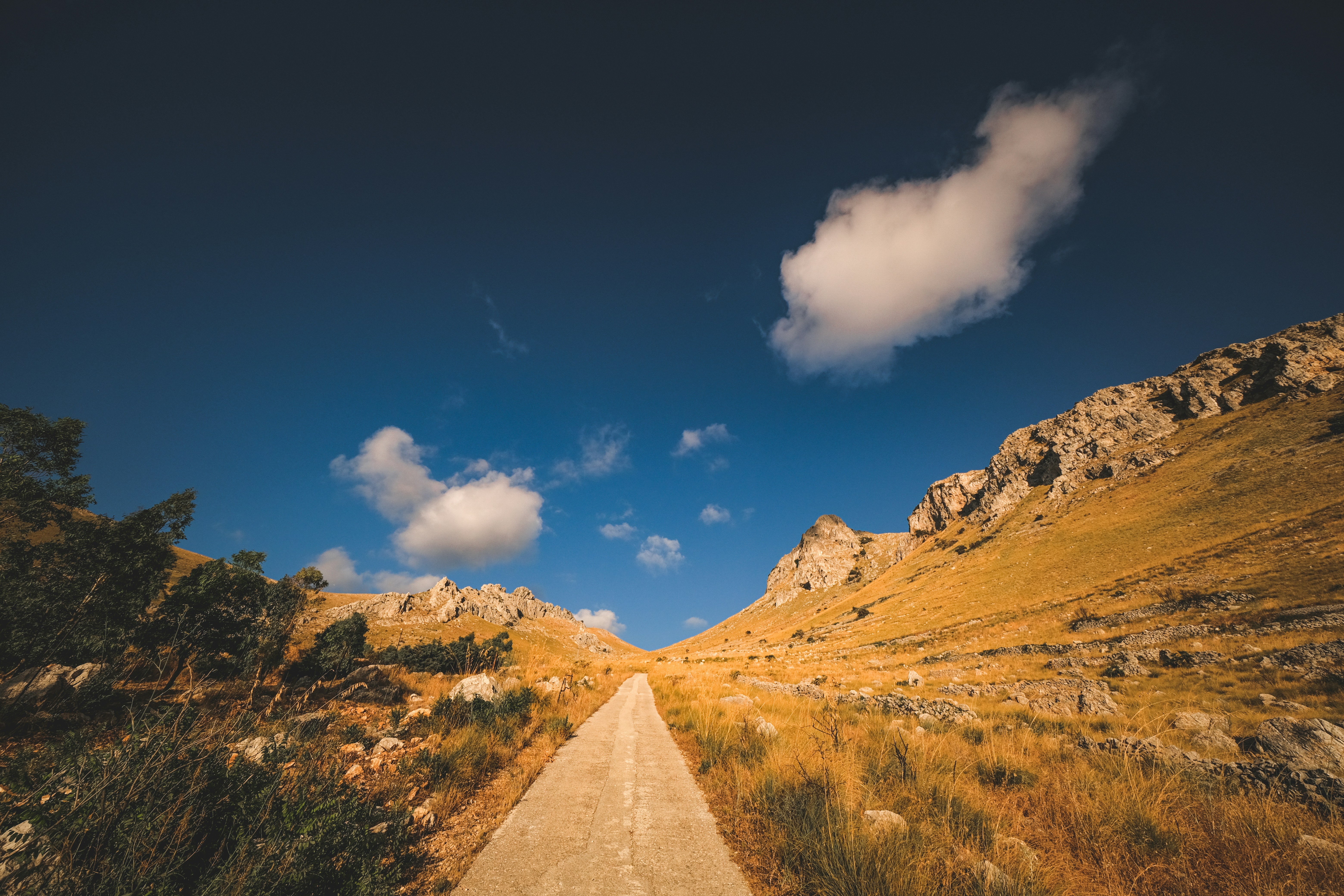 Photo by francesco_ungaro