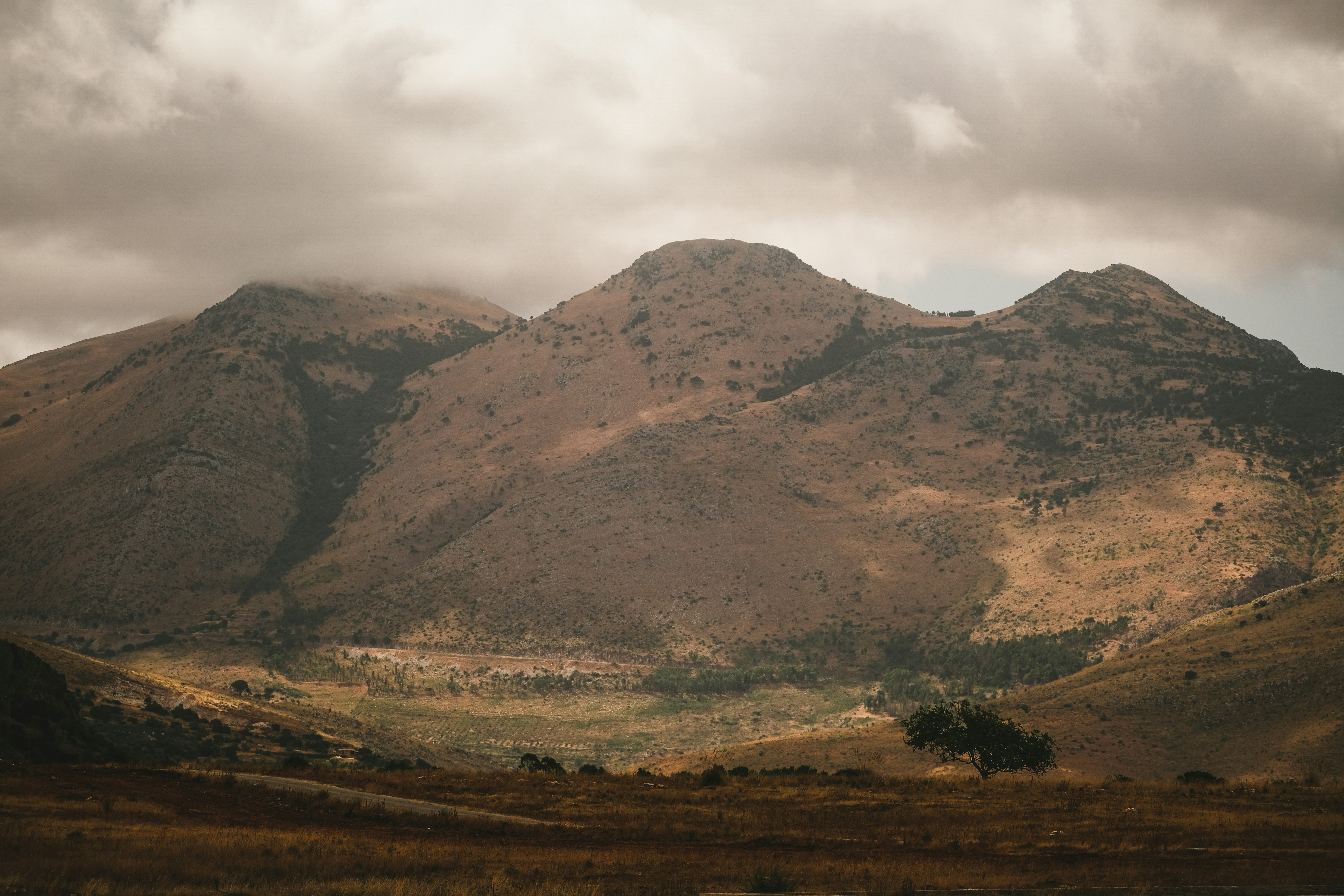 Photo by francesco_ungaro