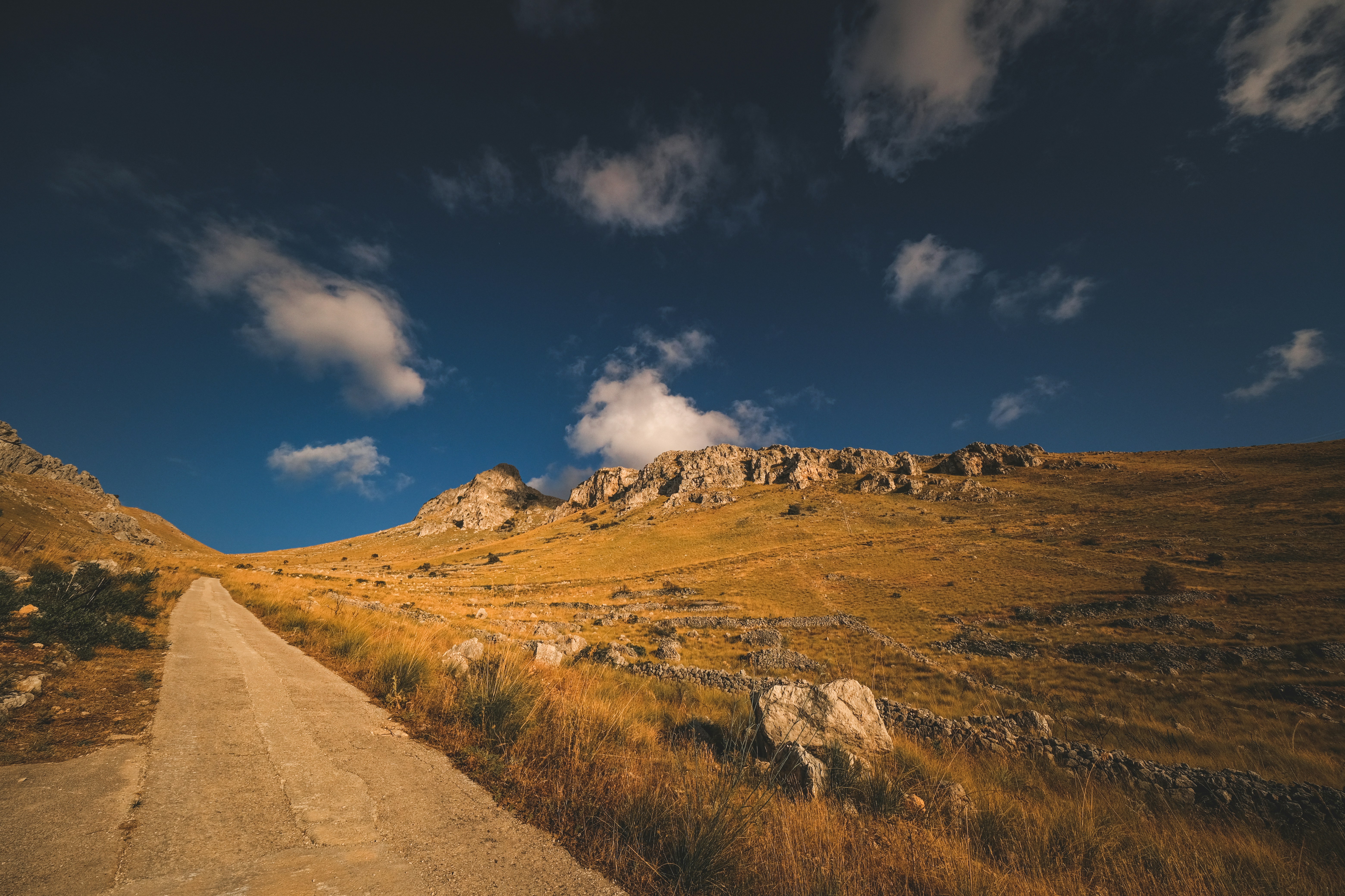 Photo by francesco_ungaro