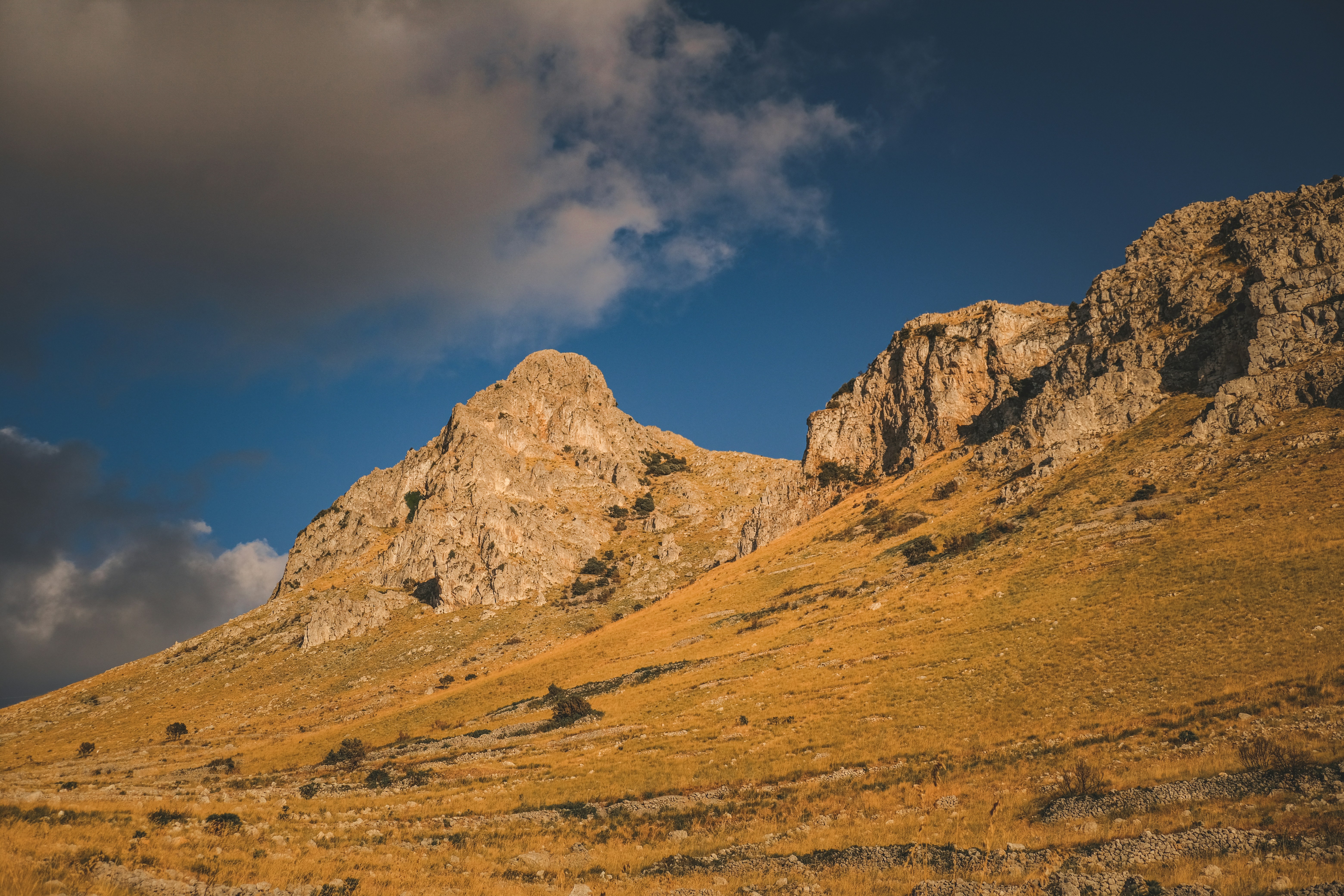 Photo by francesco_ungaro