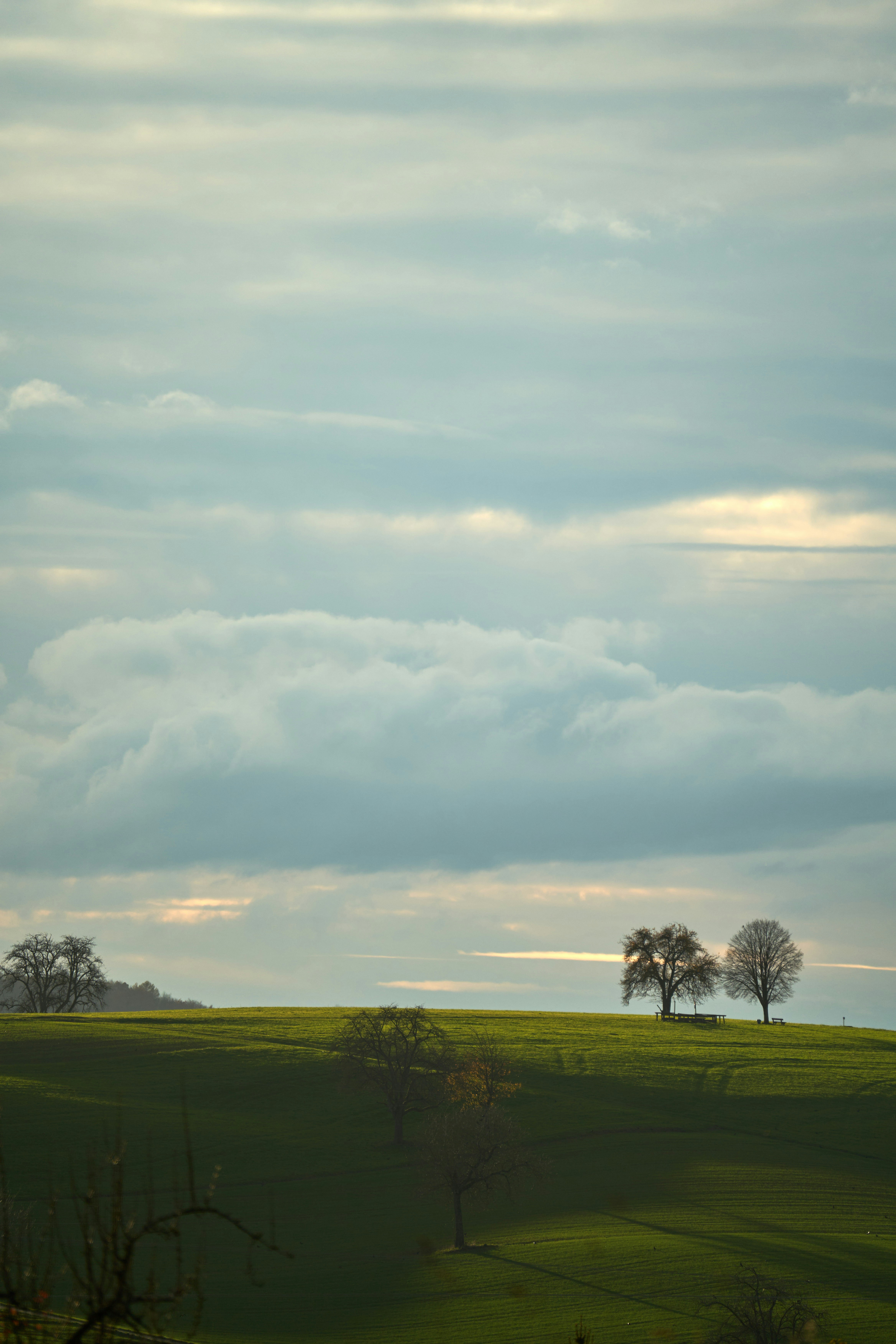 Photo by wolfgang_hasselmann