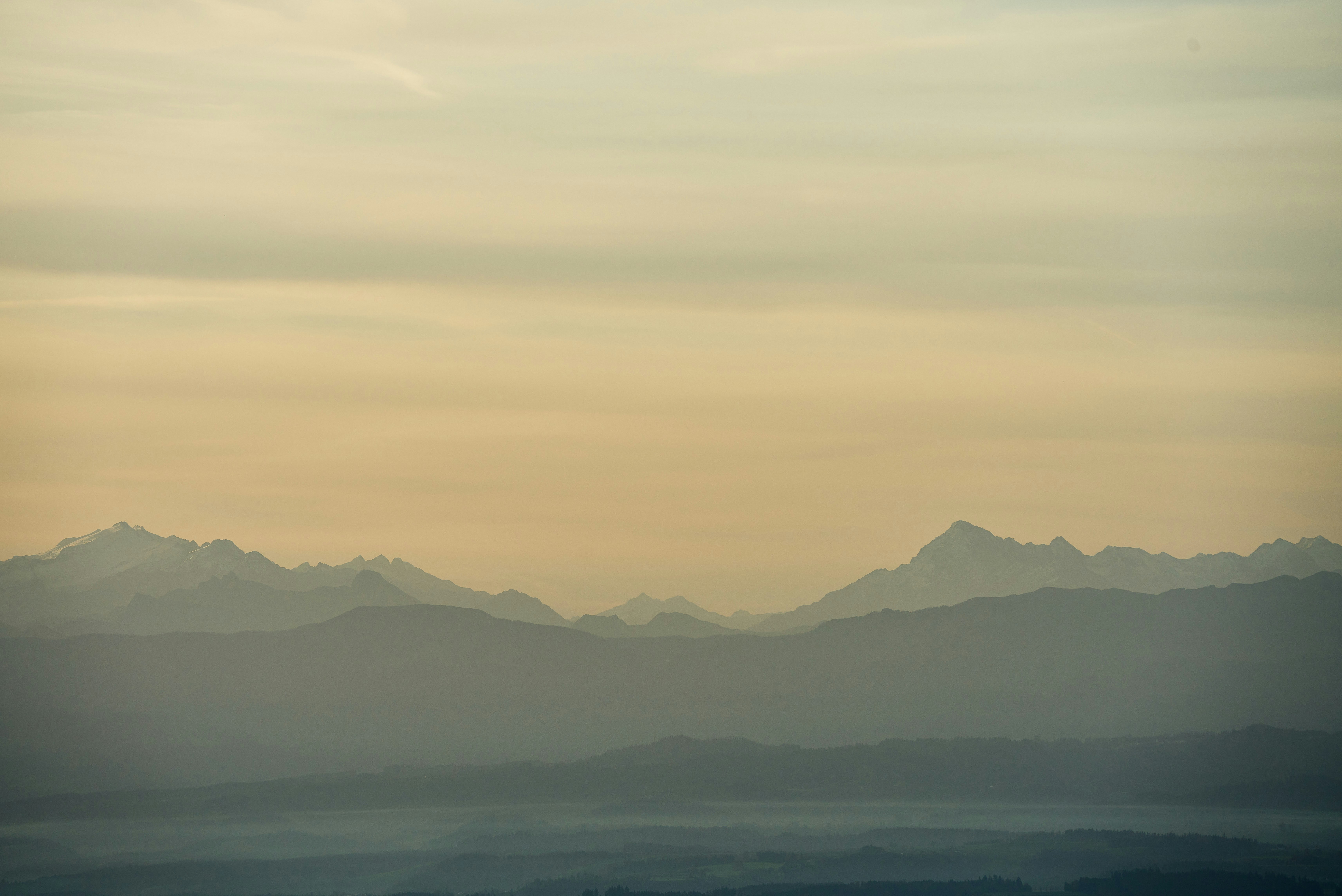 Photo by wolfgang_hasselmann