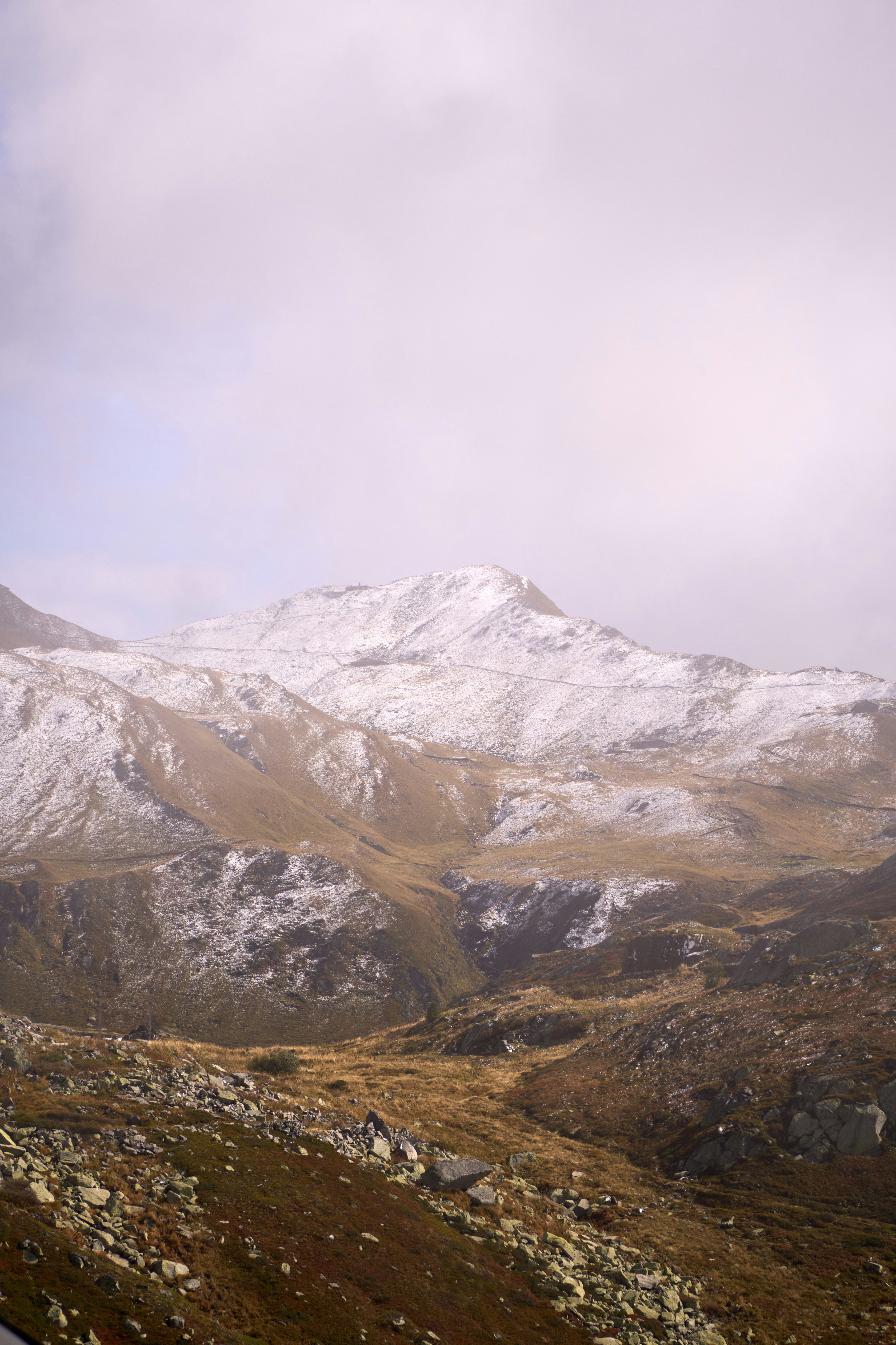 Photo by wolfgang_hasselmann