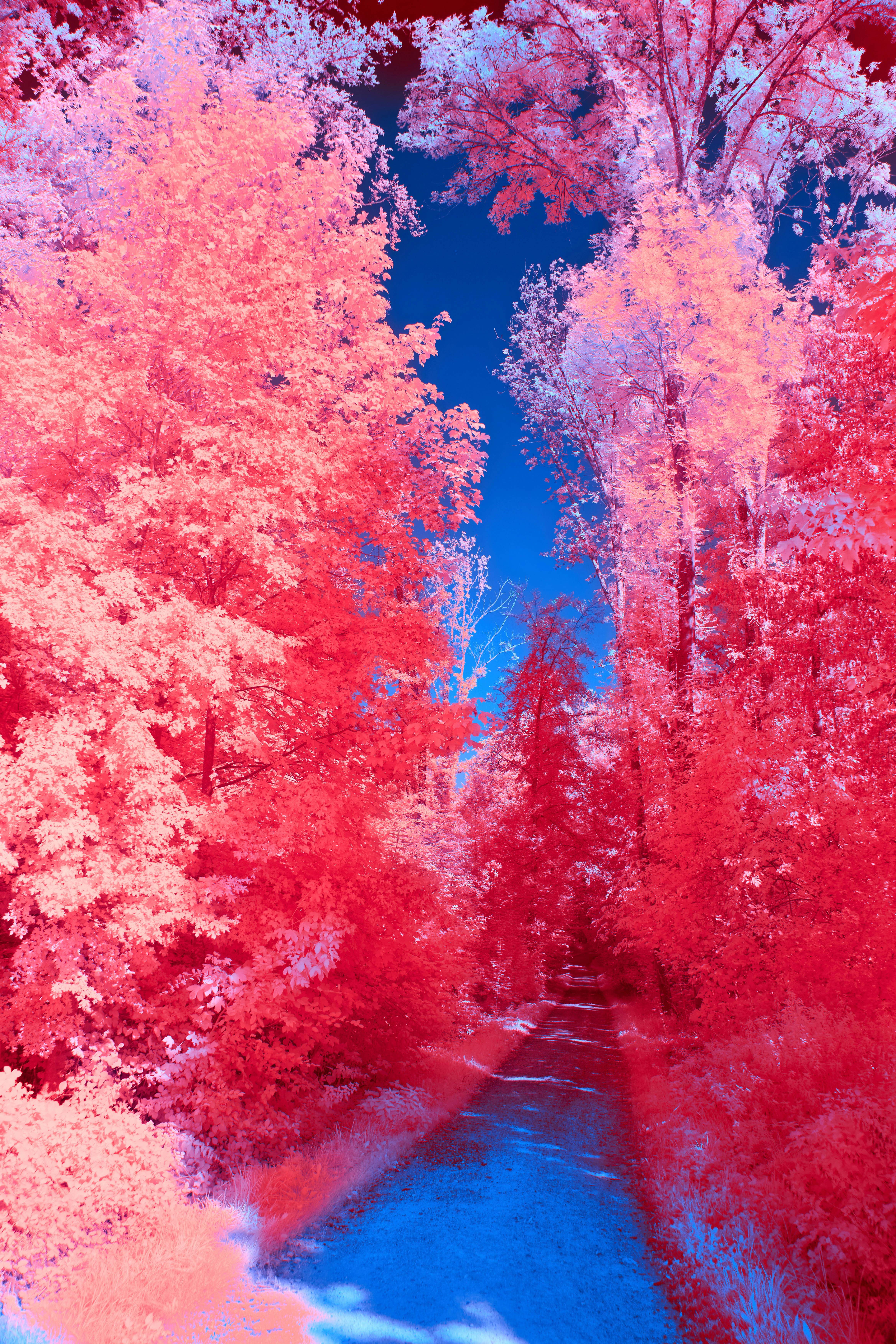 Photo by wolfgang_hasselmann