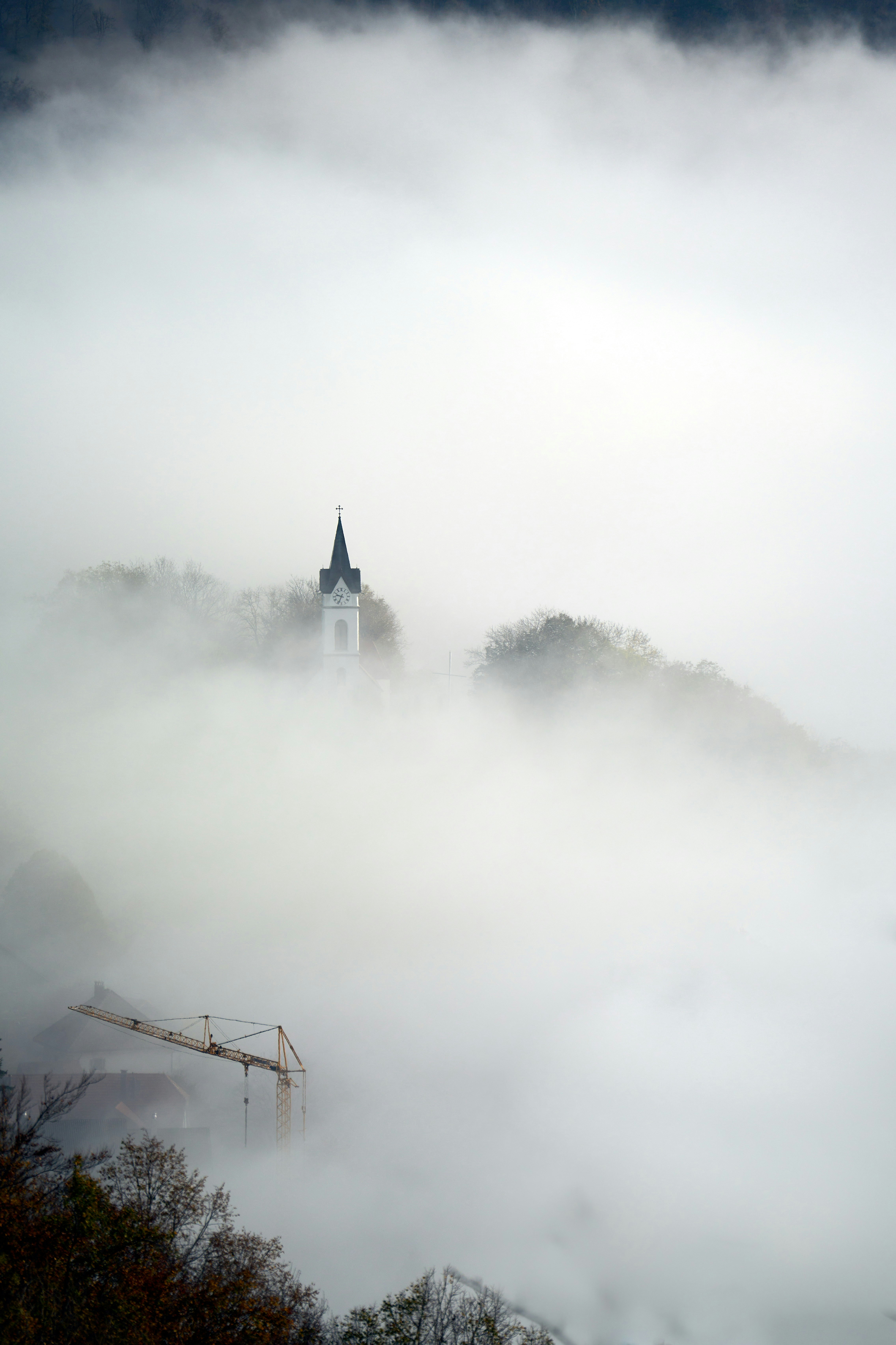 Photo by wolfgang_hasselmann