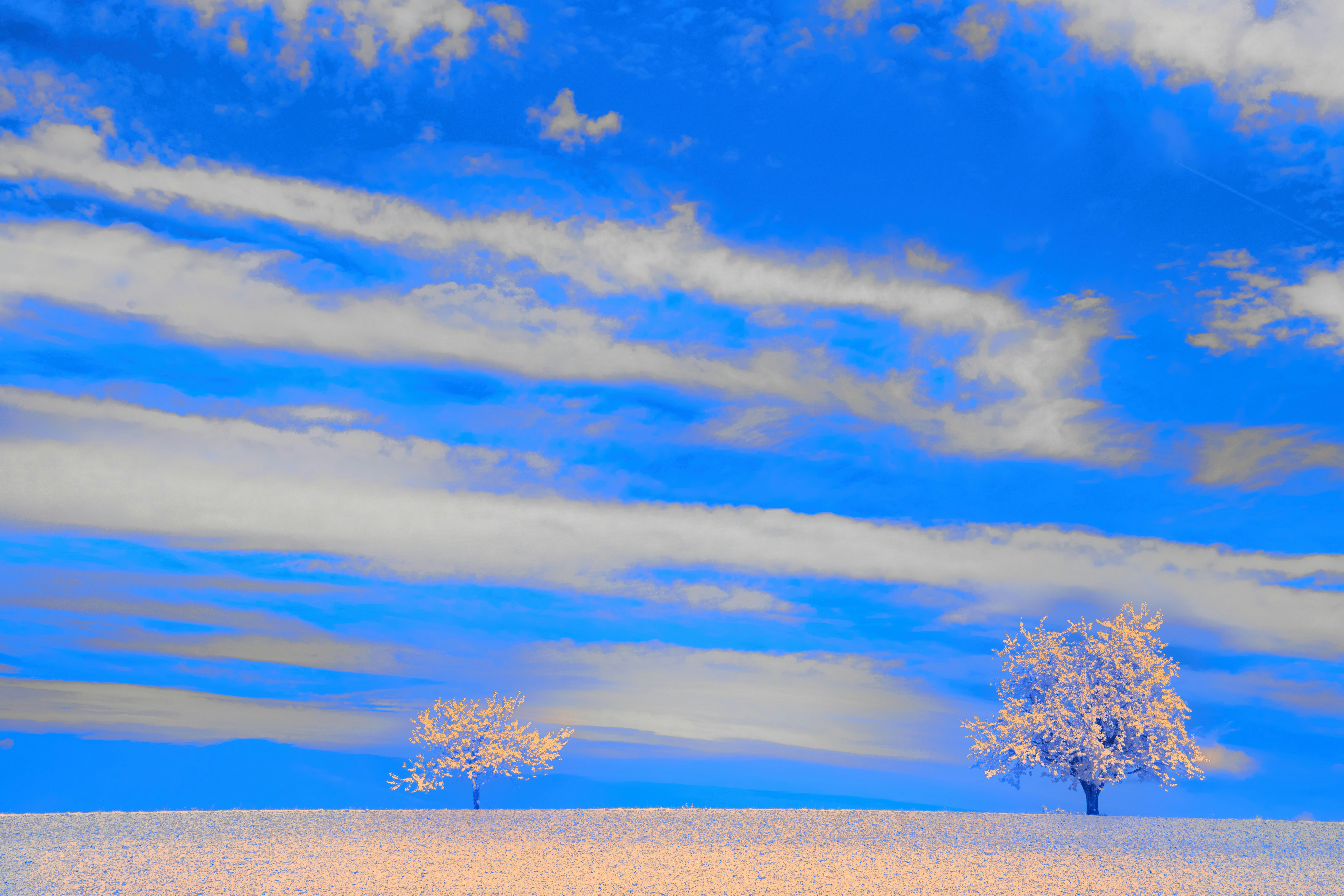 Photo by wolfgang_hasselmann