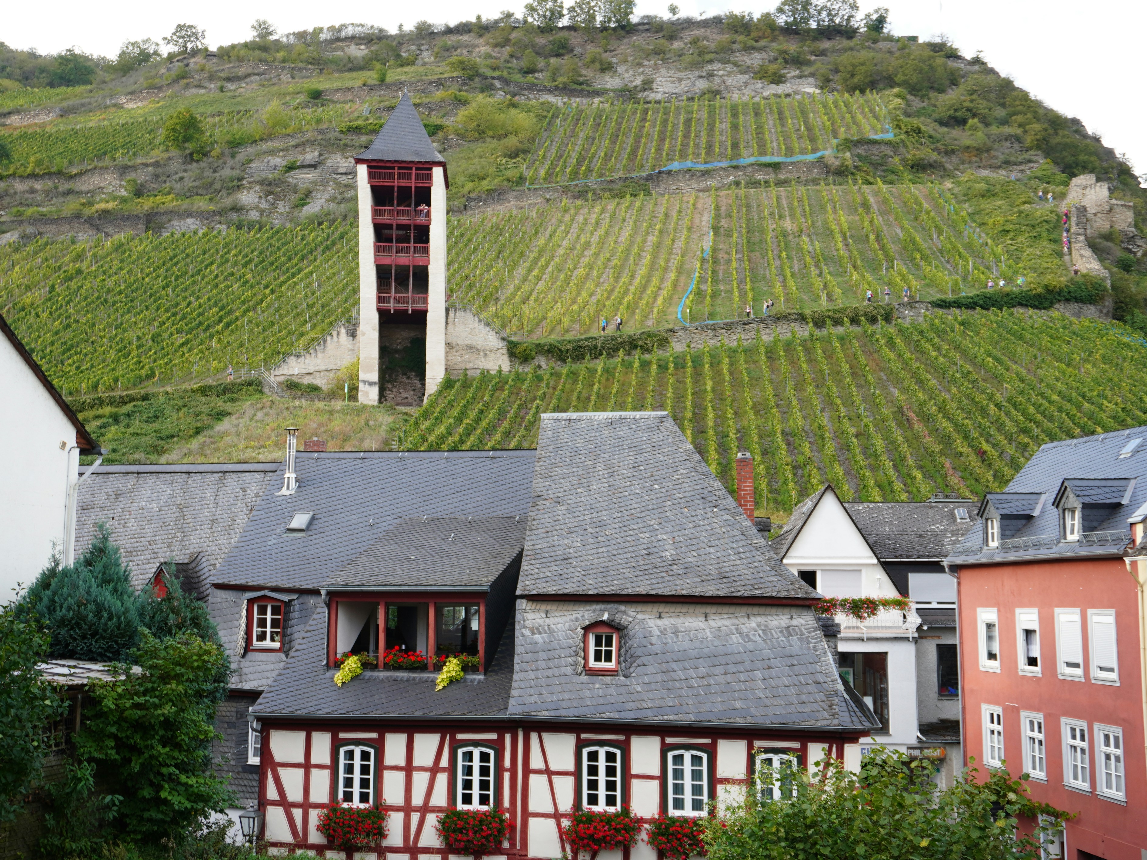 Stuttgart Wine Village photo 2