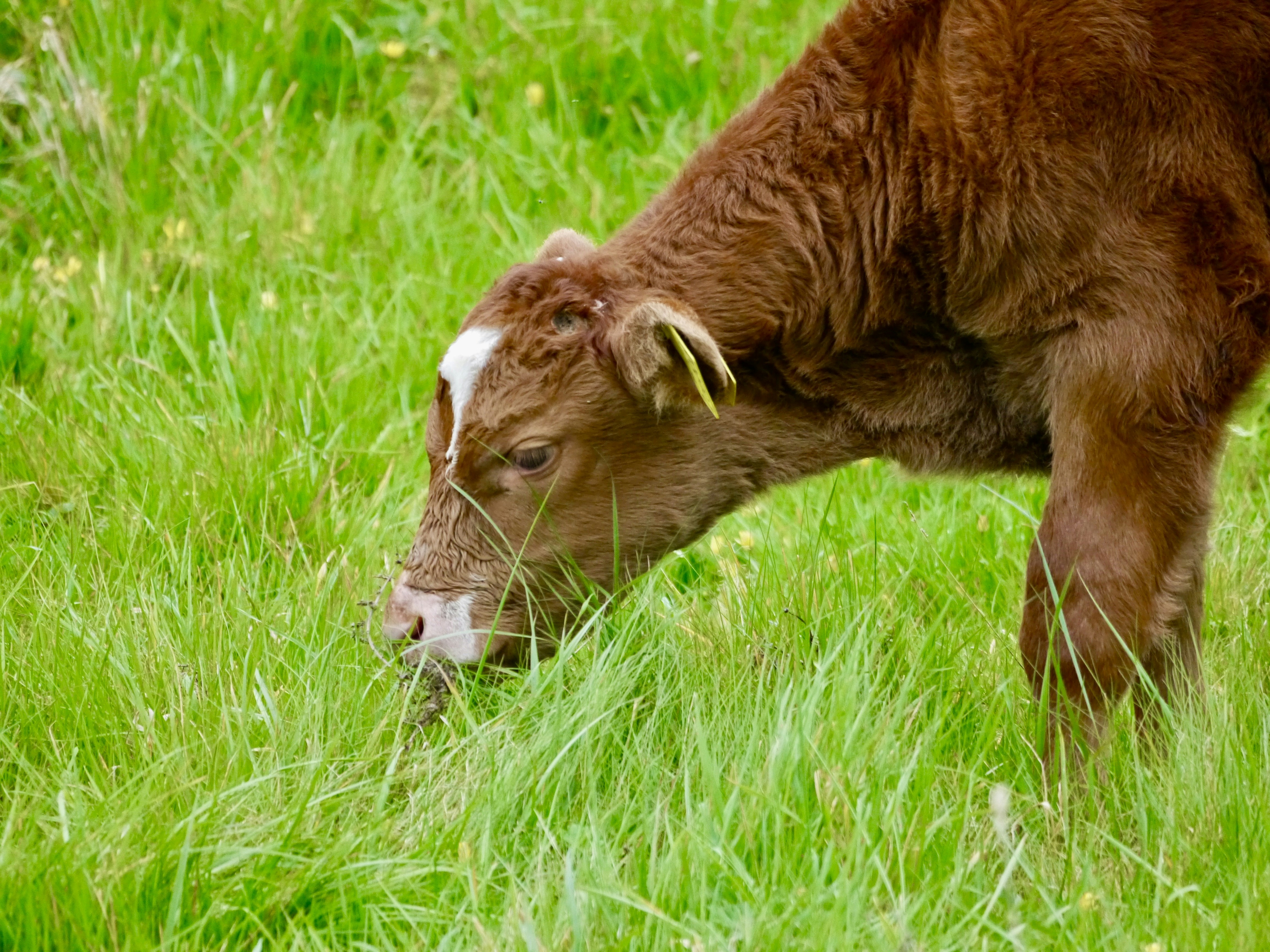 Photo by iqsphotography