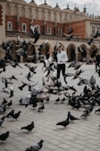 A man is surrounded by birds in a courtyard