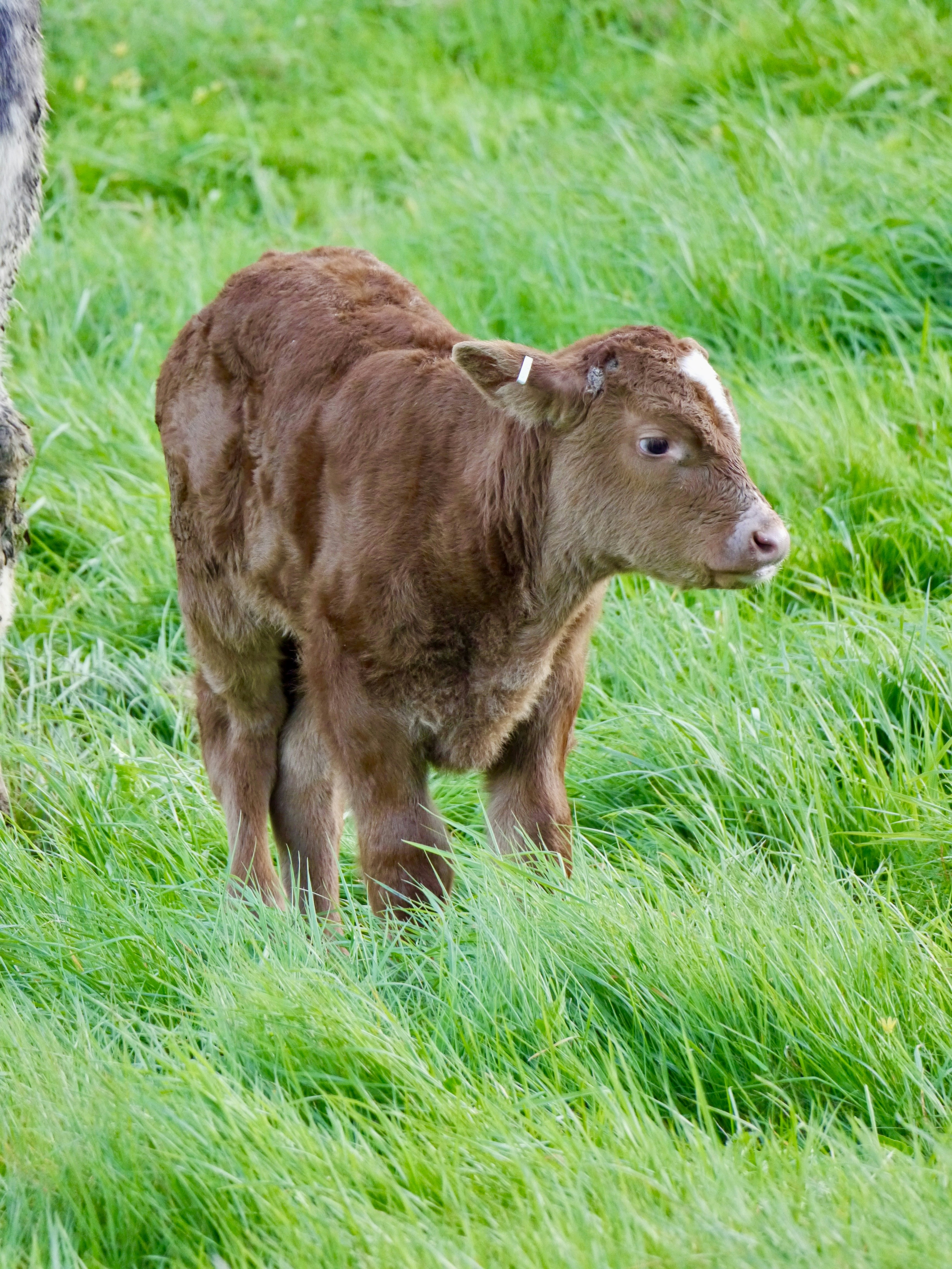 Photo by iqsphotography