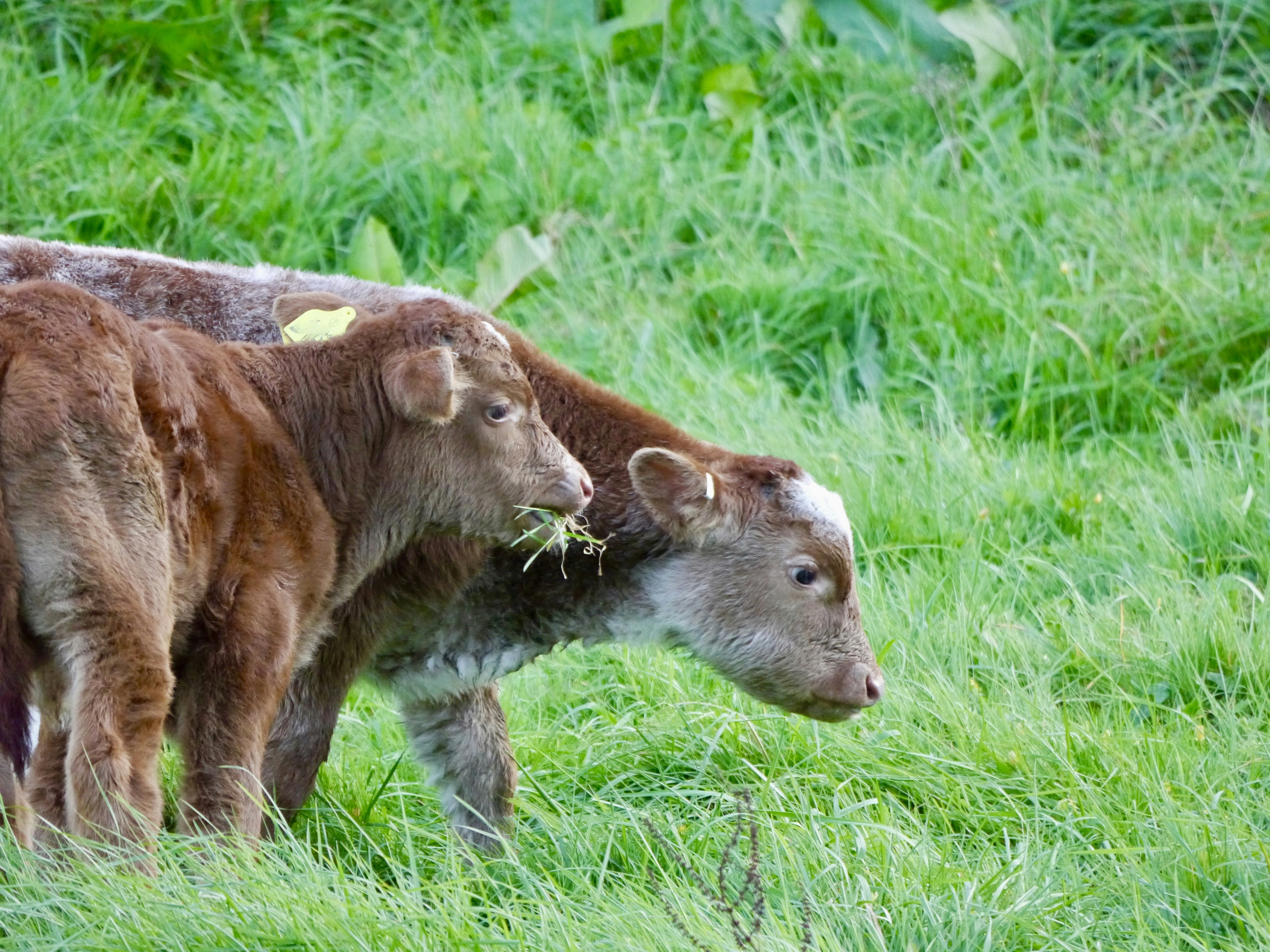 Photo by iqsphotography