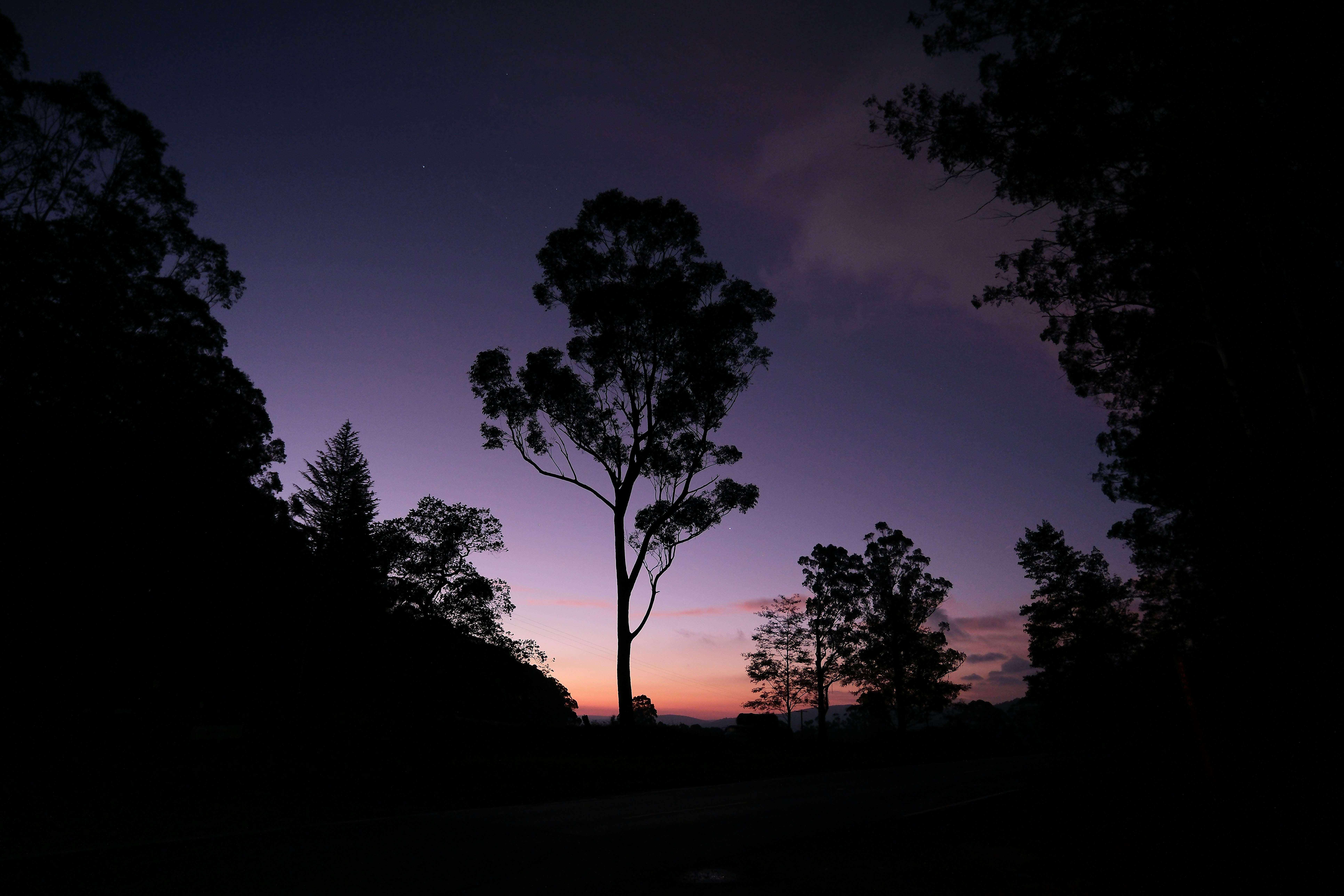 Photo by waltc
