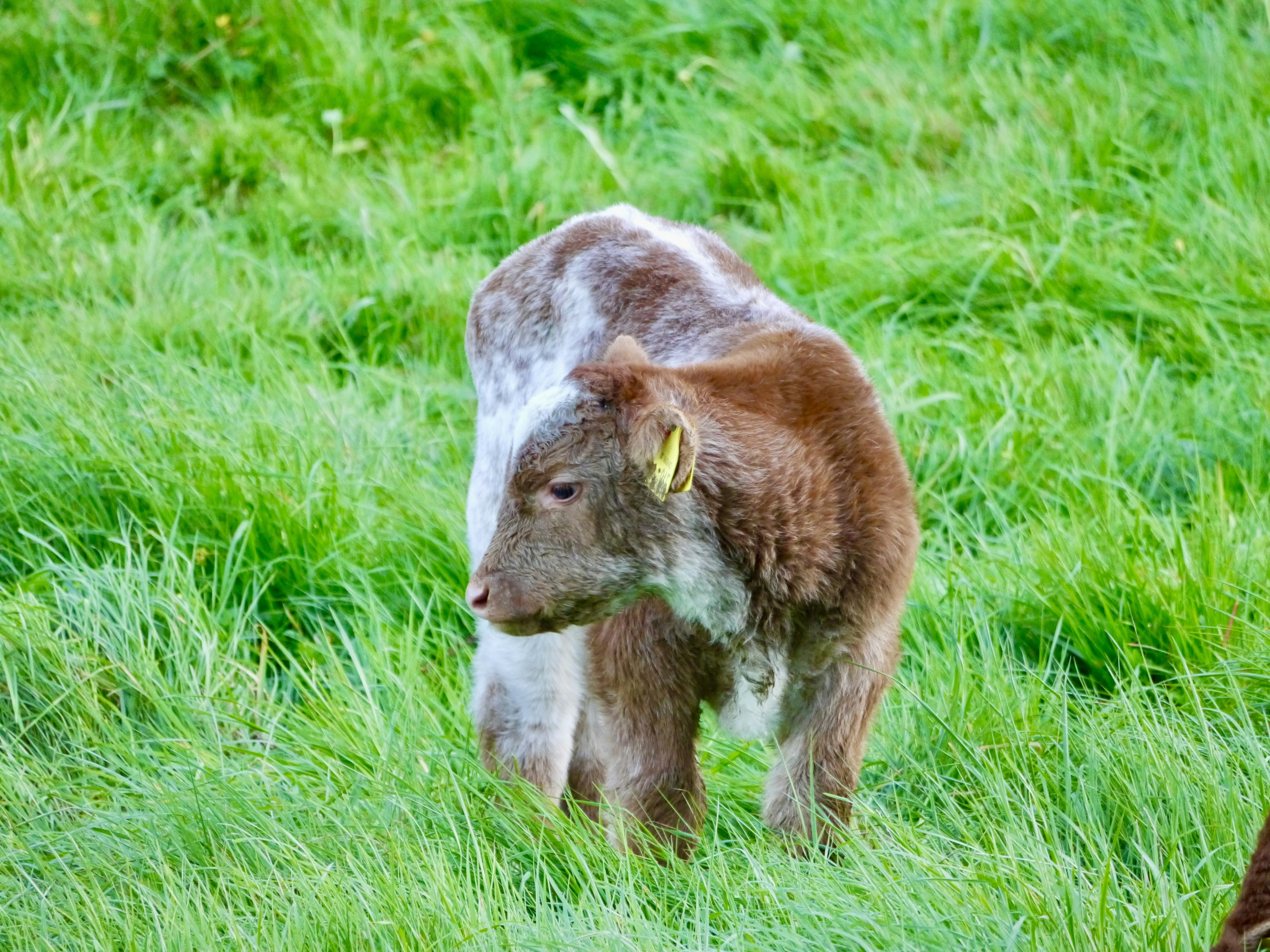 Photo by iqsphotography