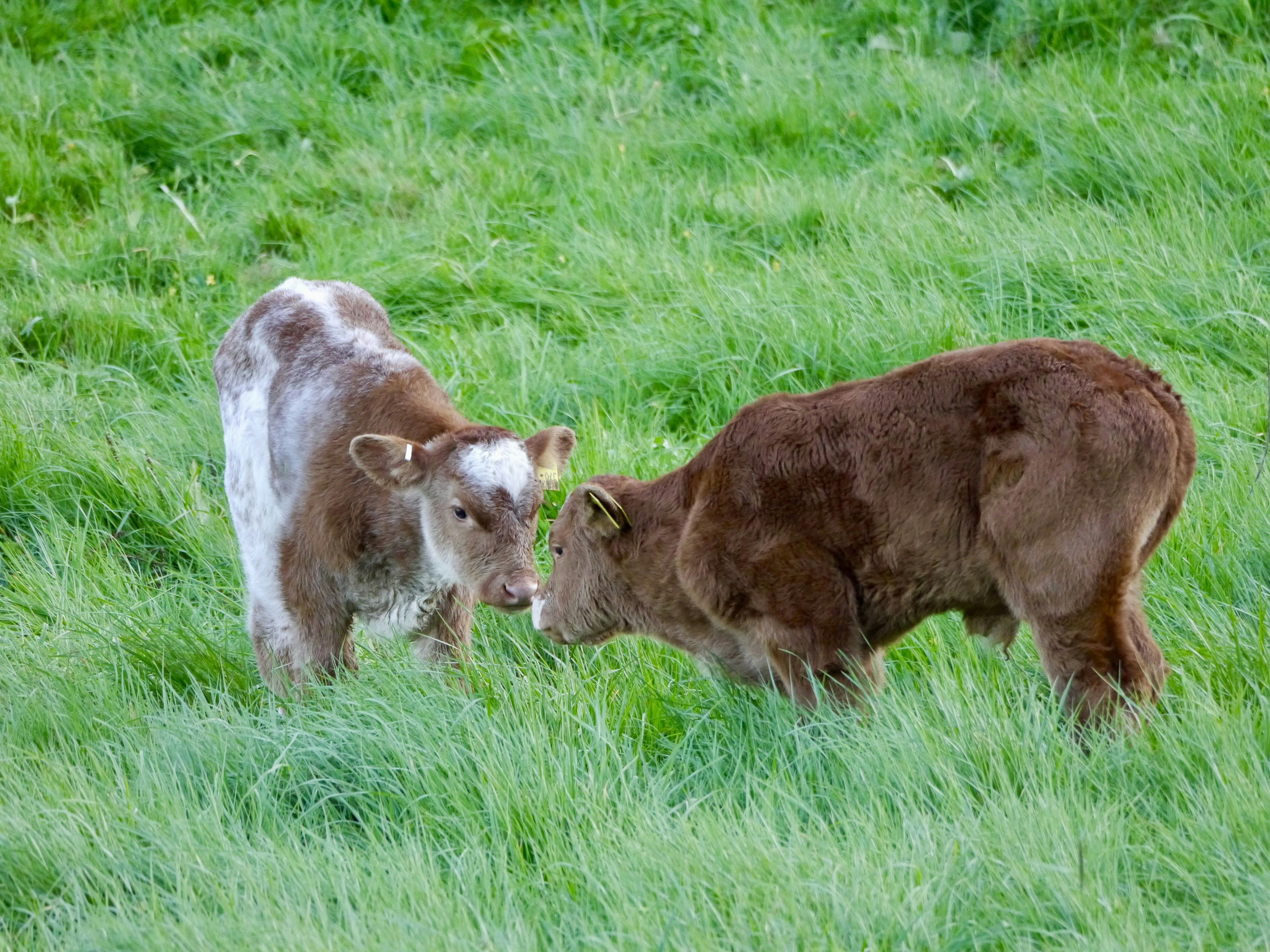 Photo by iqsphotography