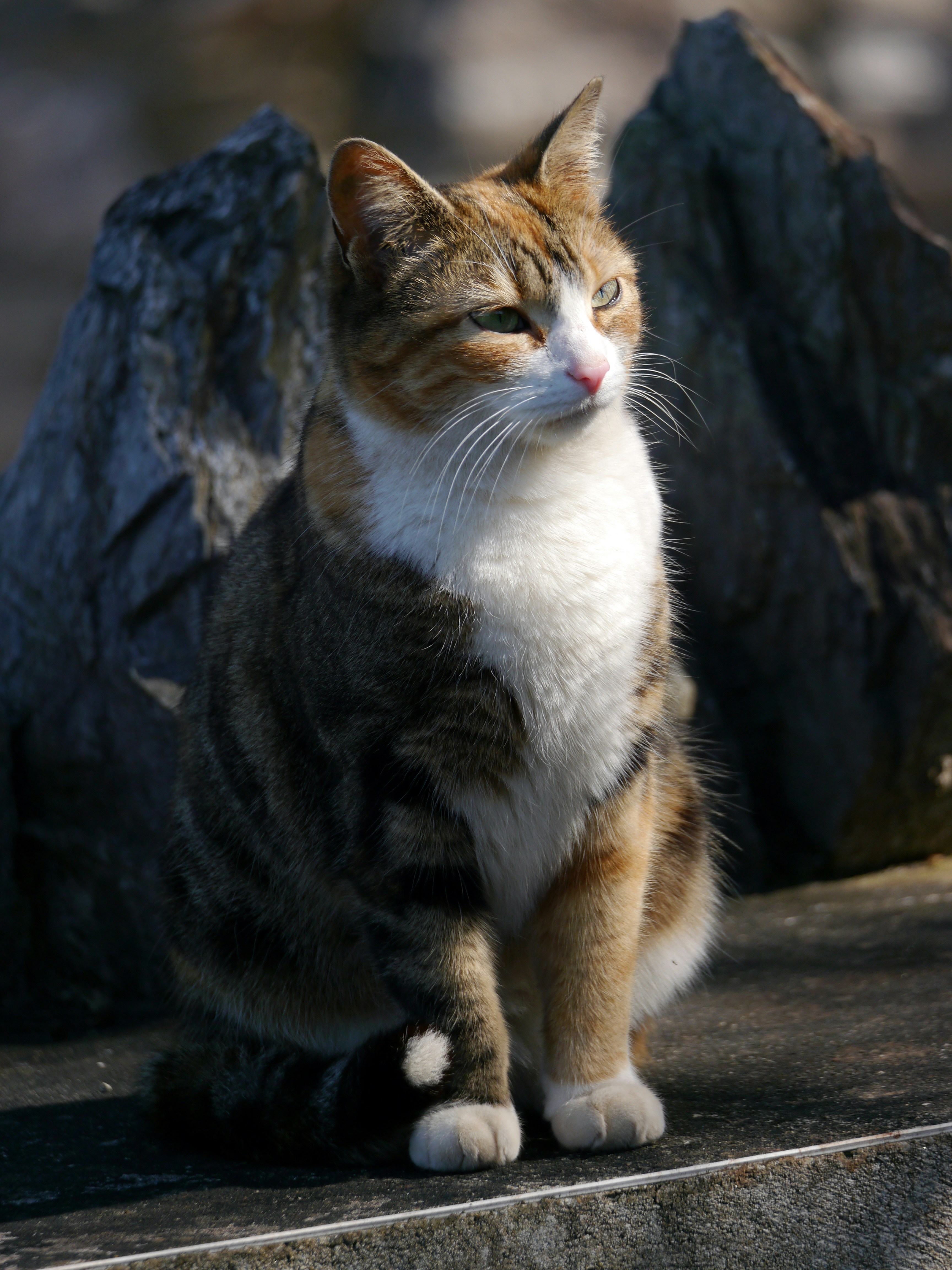 Photo by iqsphotography