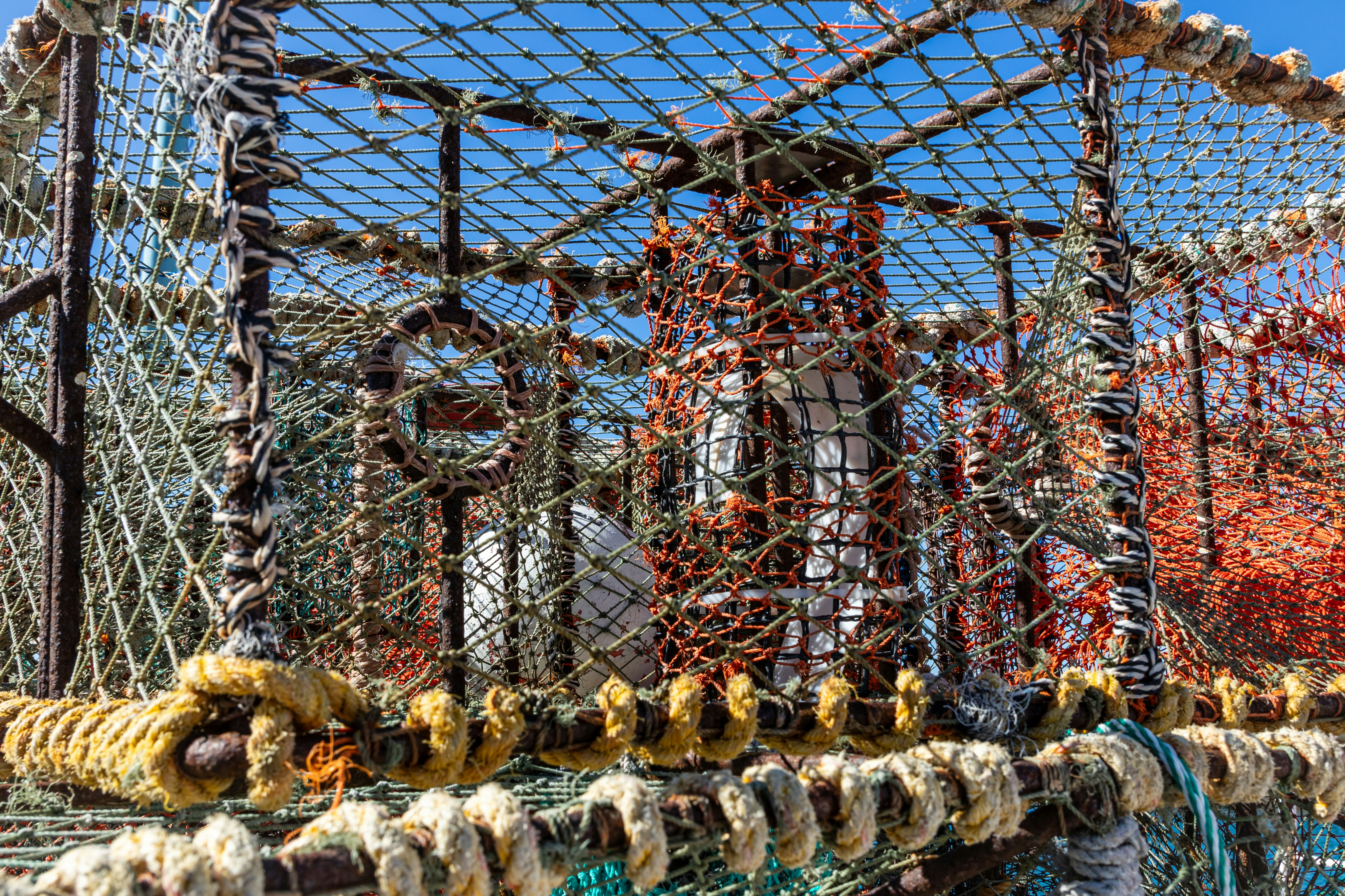 Crayfish Catcher