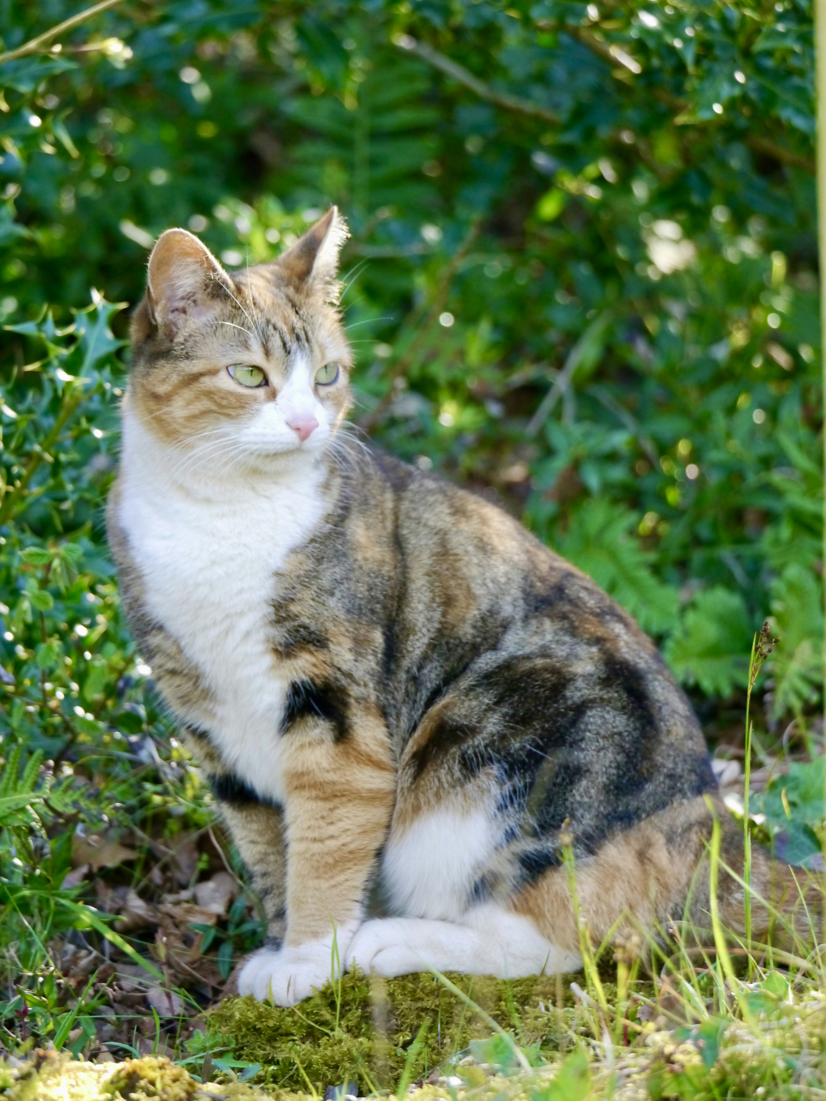 Photo by iqsphotography