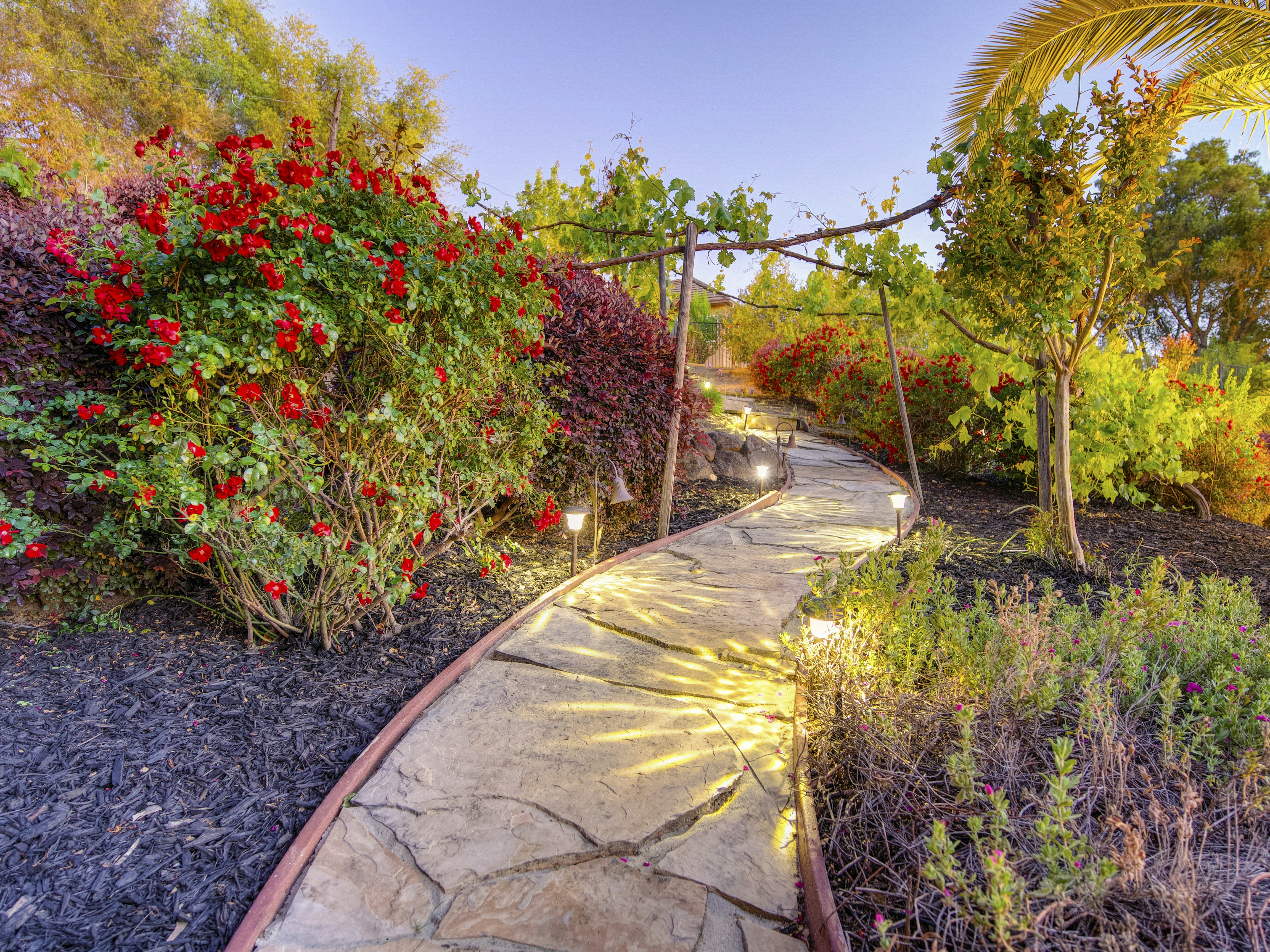 Photo by leo_visions_