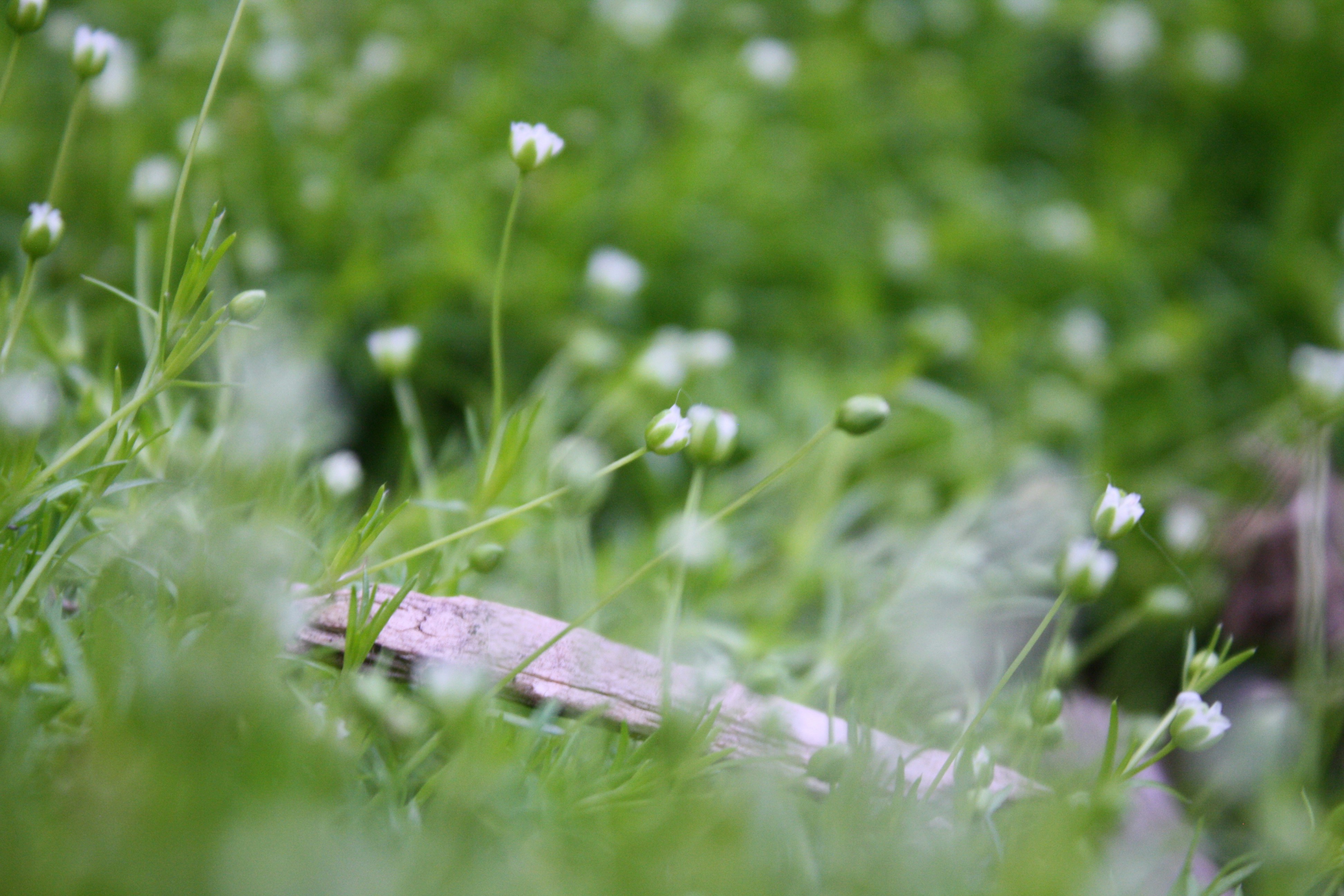 Photo by theartsy_waterlily