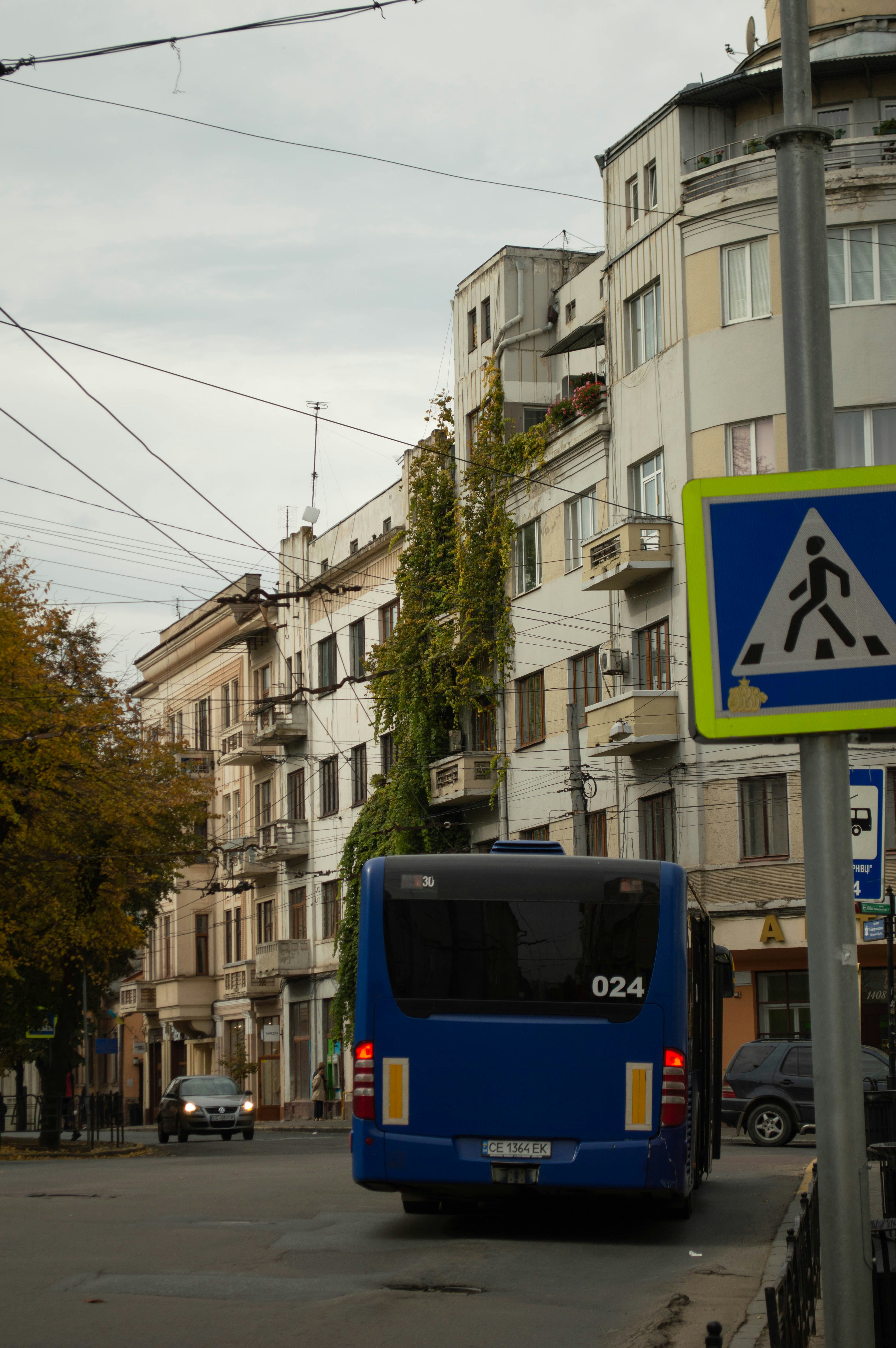 Photo by dmytrodovgan