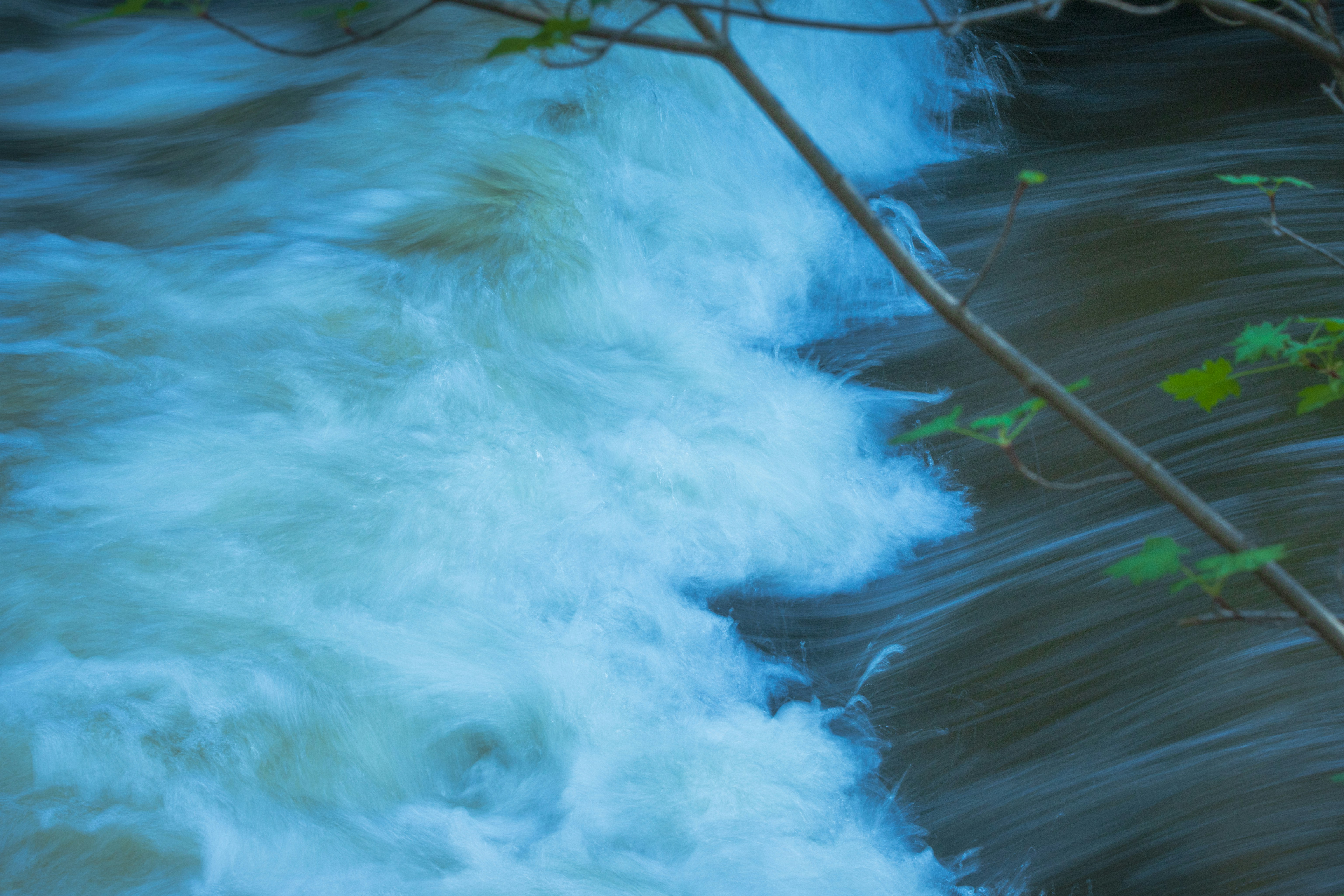 Photo by brandonstoll