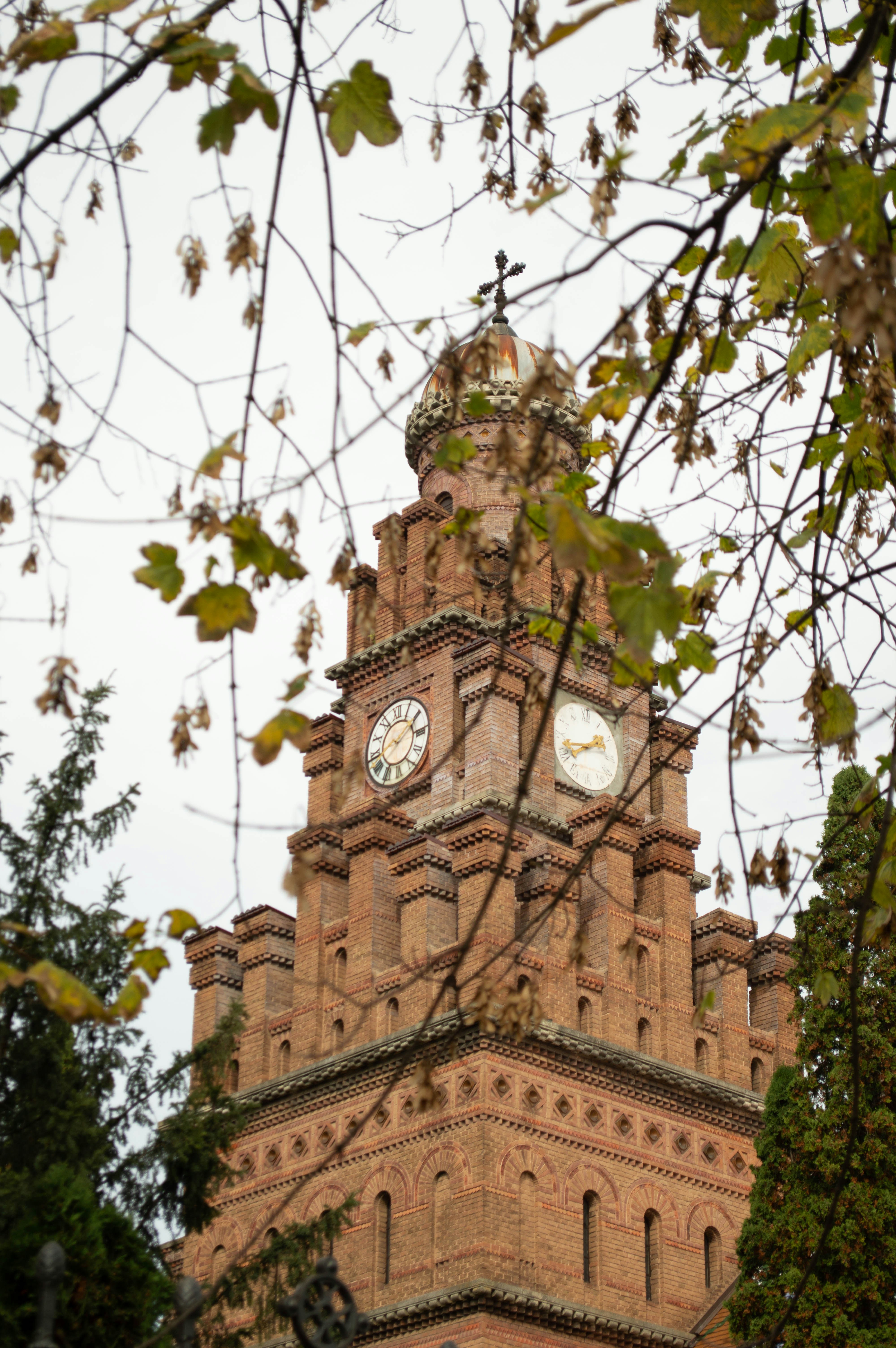 Photo by dmytrodovgan