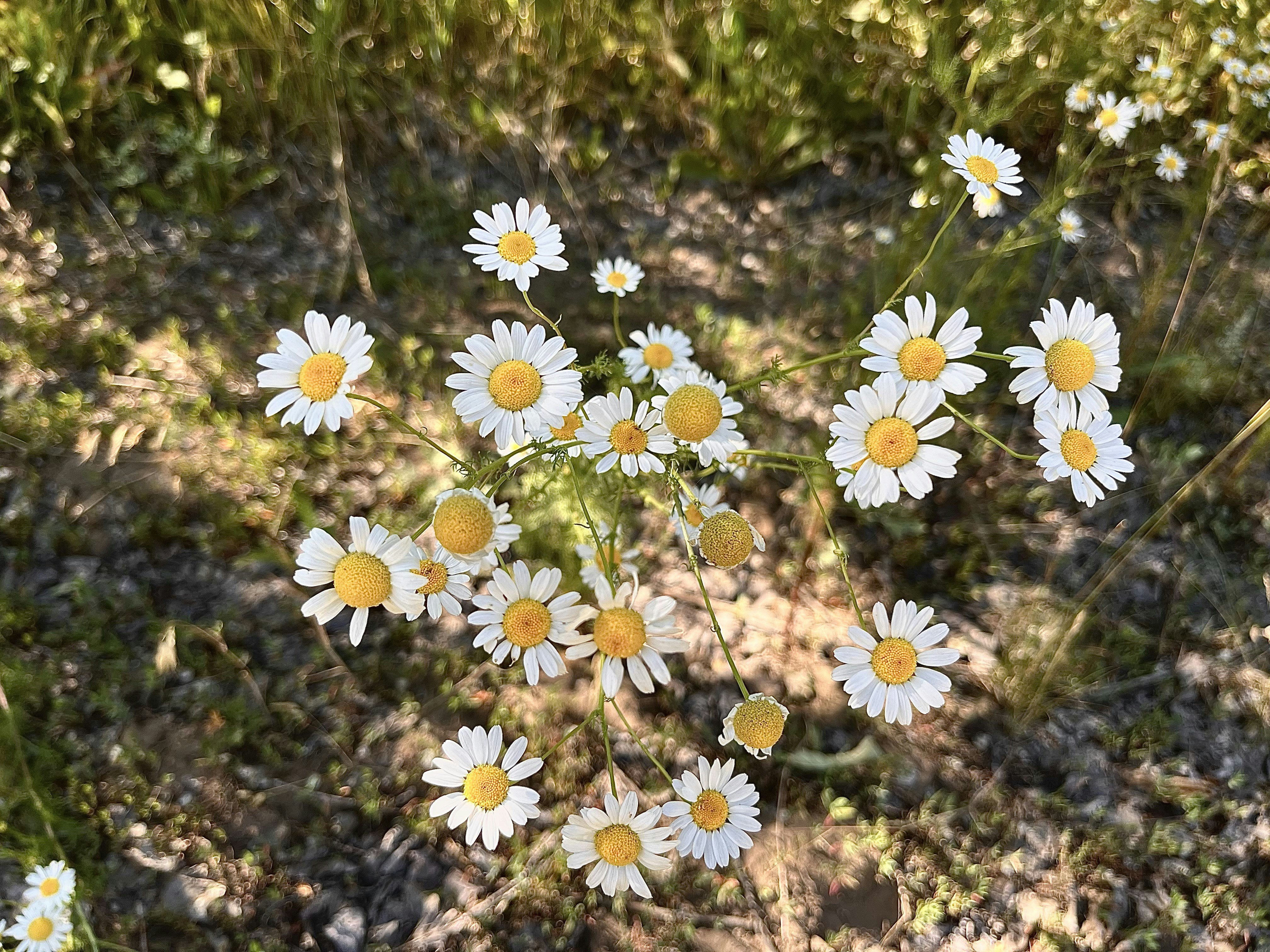 Photo by katrin_bloom