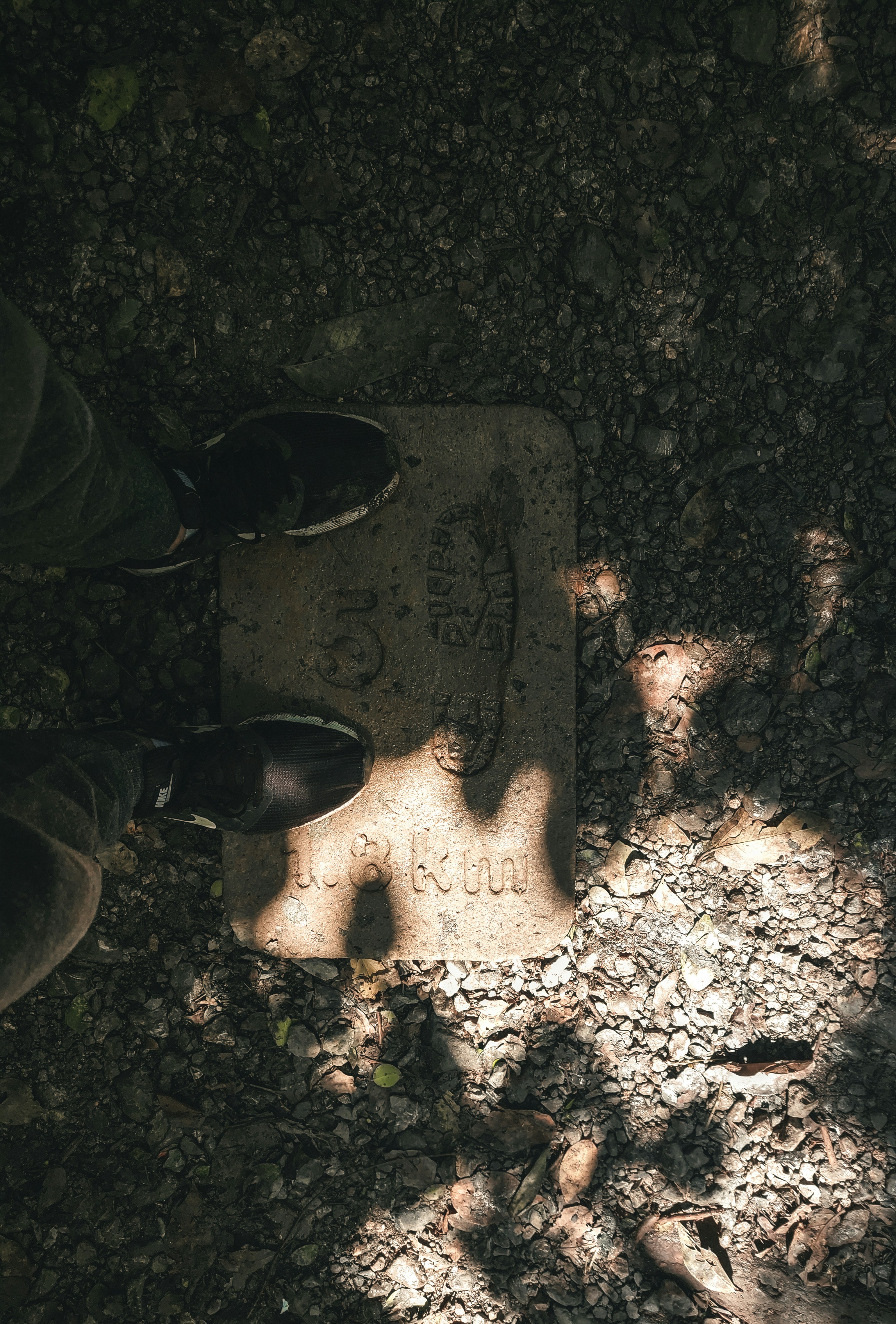 Does Lipoprotein(a) Affect Multiple Sclerosis Risk?