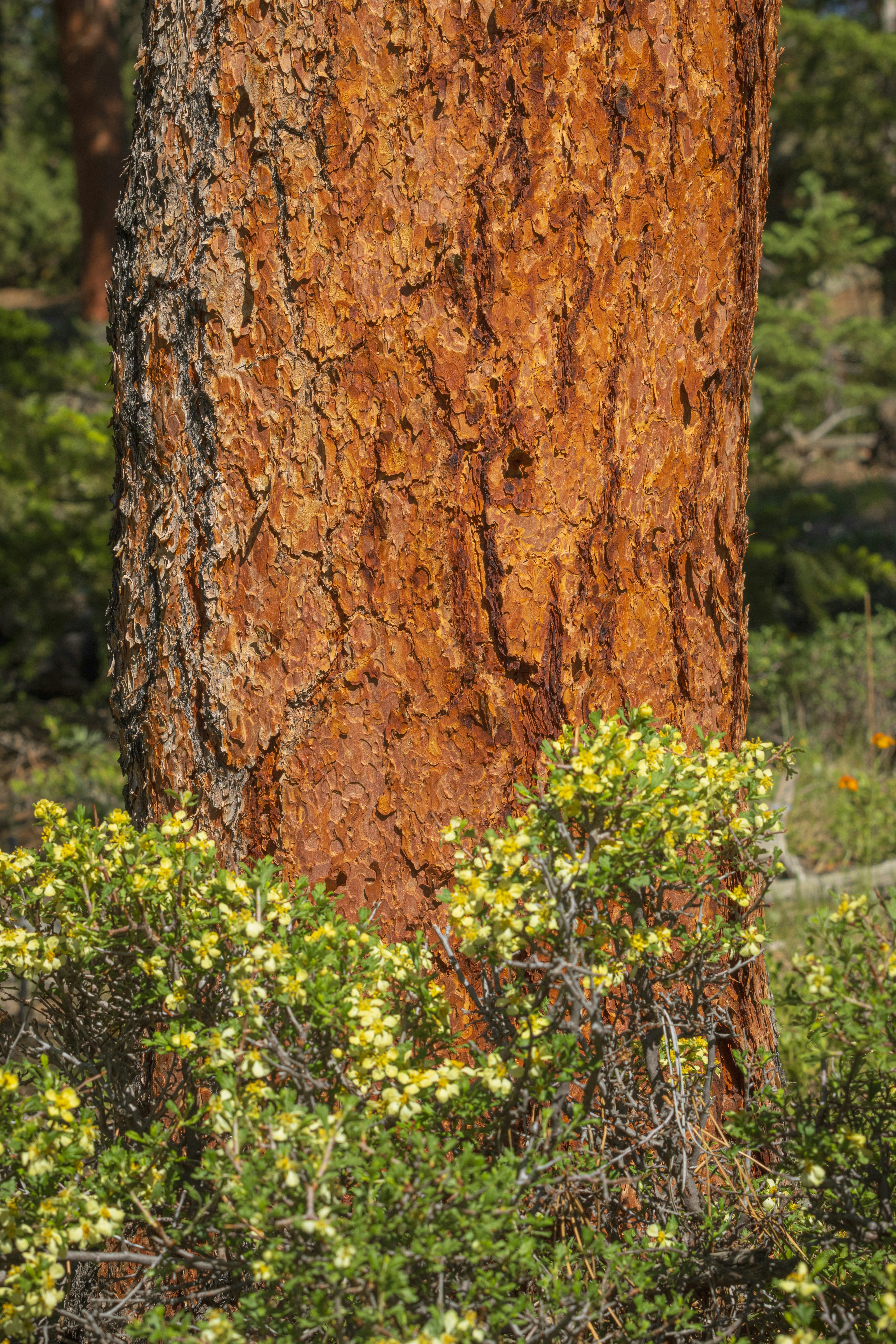 Photo by brandonstoll