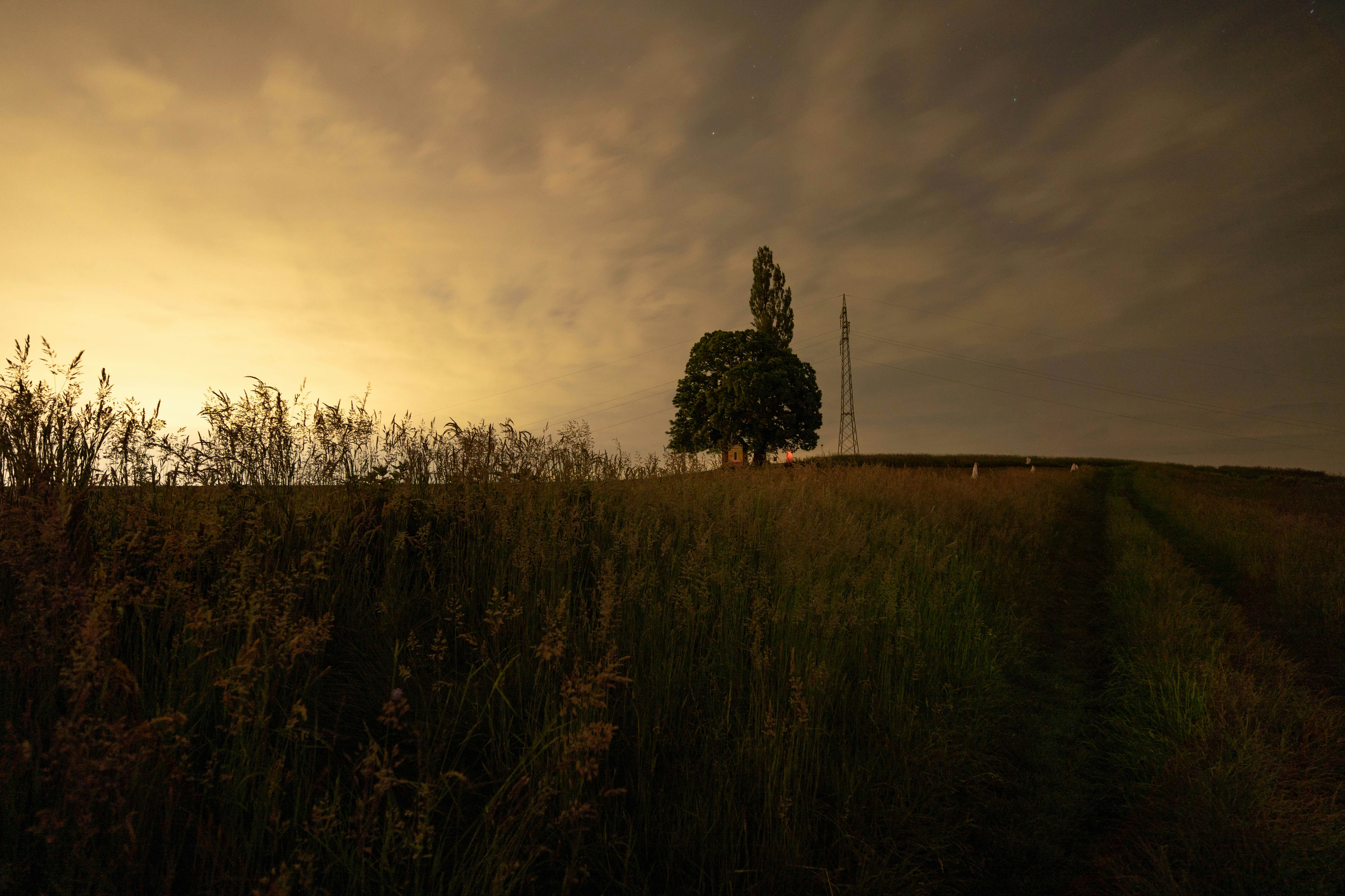 Photo by rathaa
