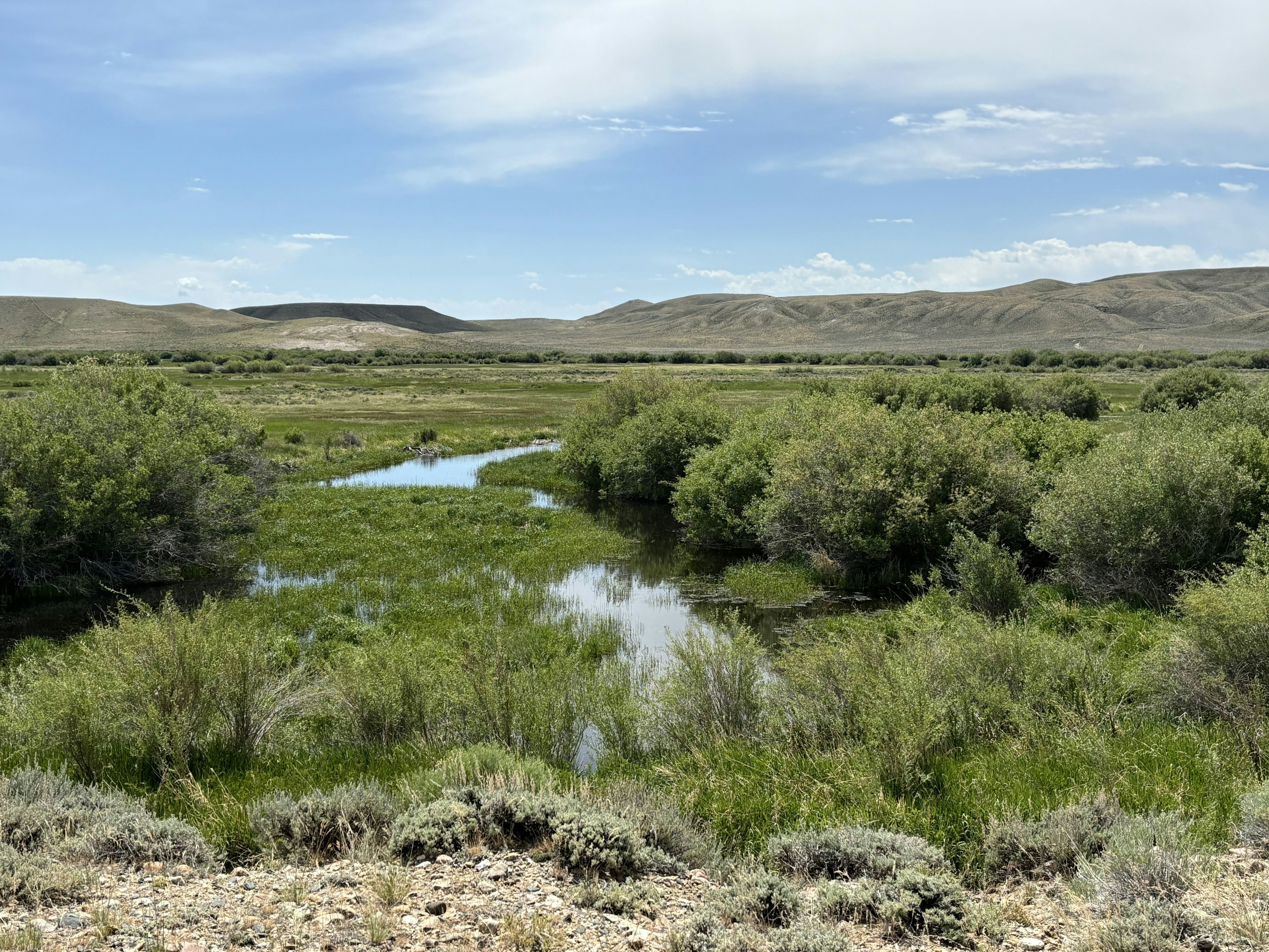 A river running through a lush green field