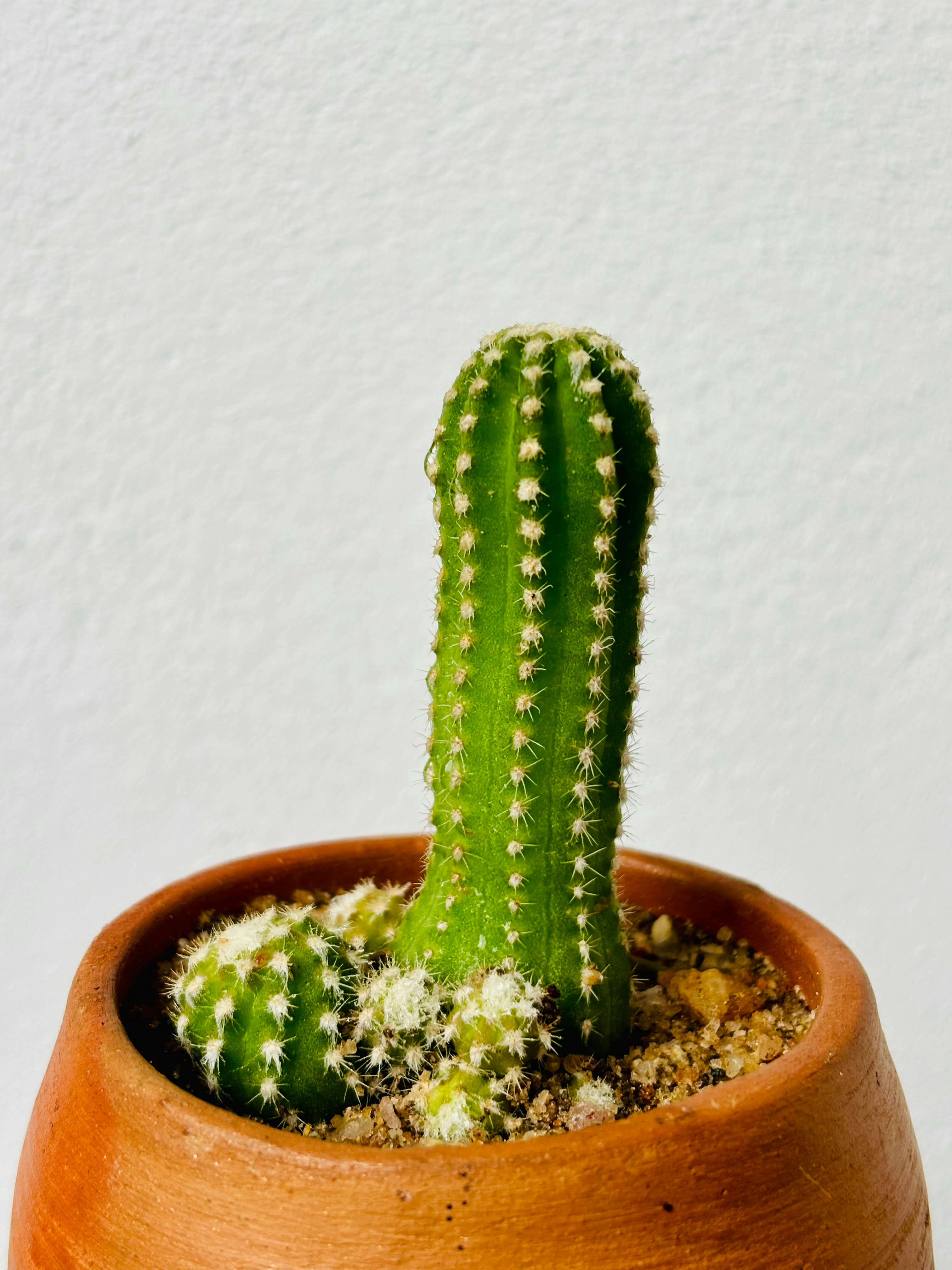 Photo by iajithdharshan