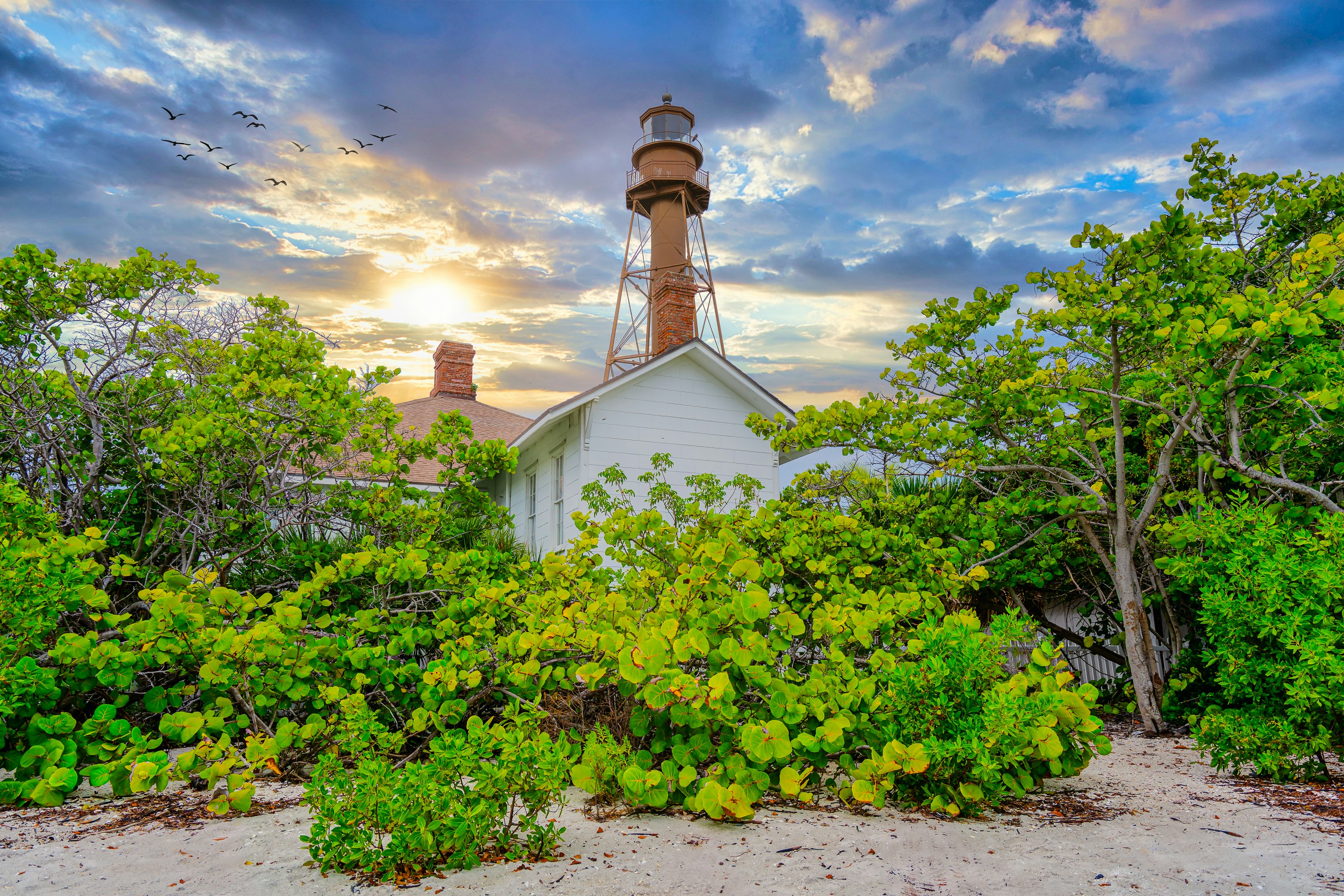 A lighthouse surrounded by trees and bushes on a cloudy day, 