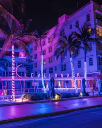 A large building with palm trees in front of it